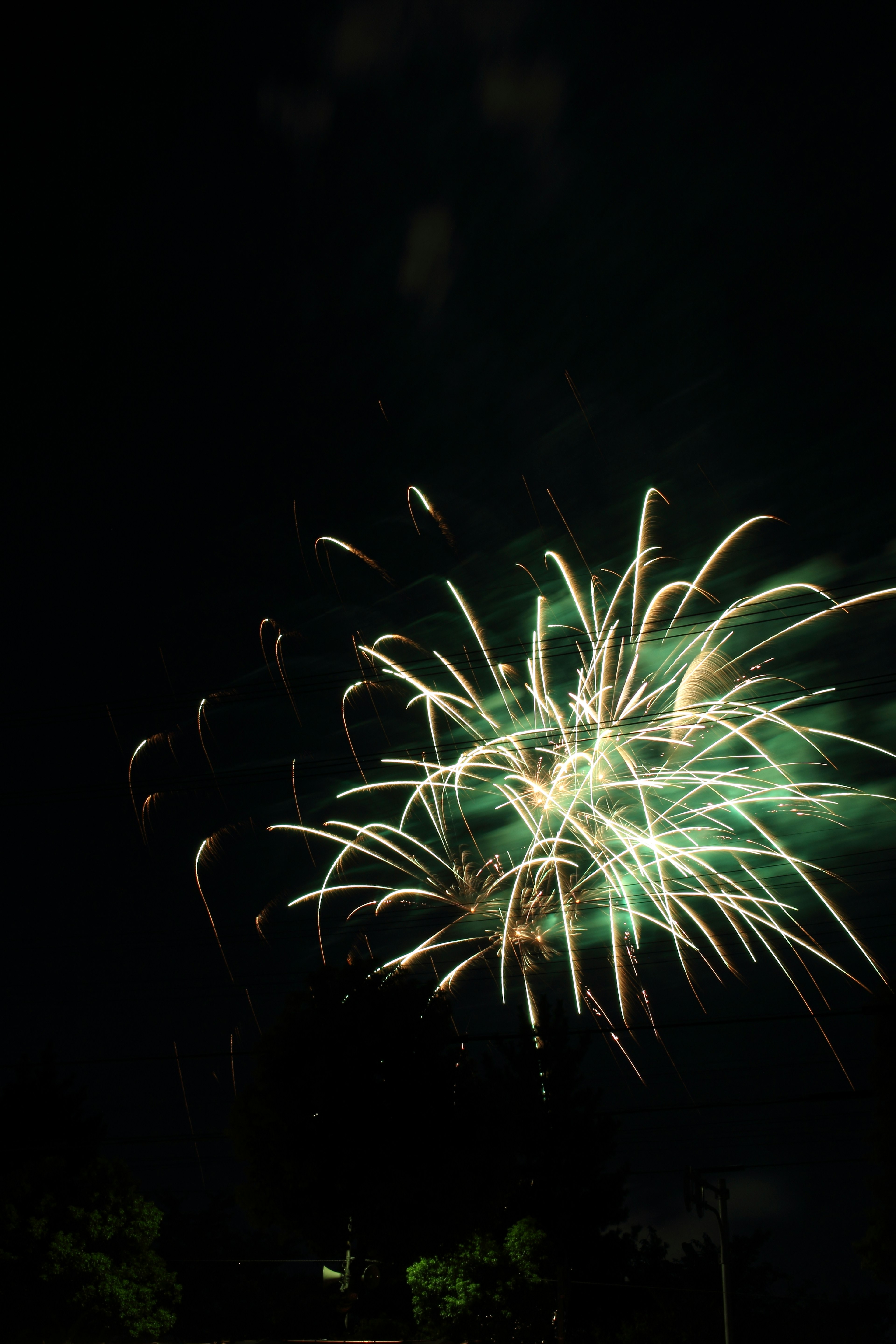 Fuochi d'artificio verdi che esplodono nel cielo notturno