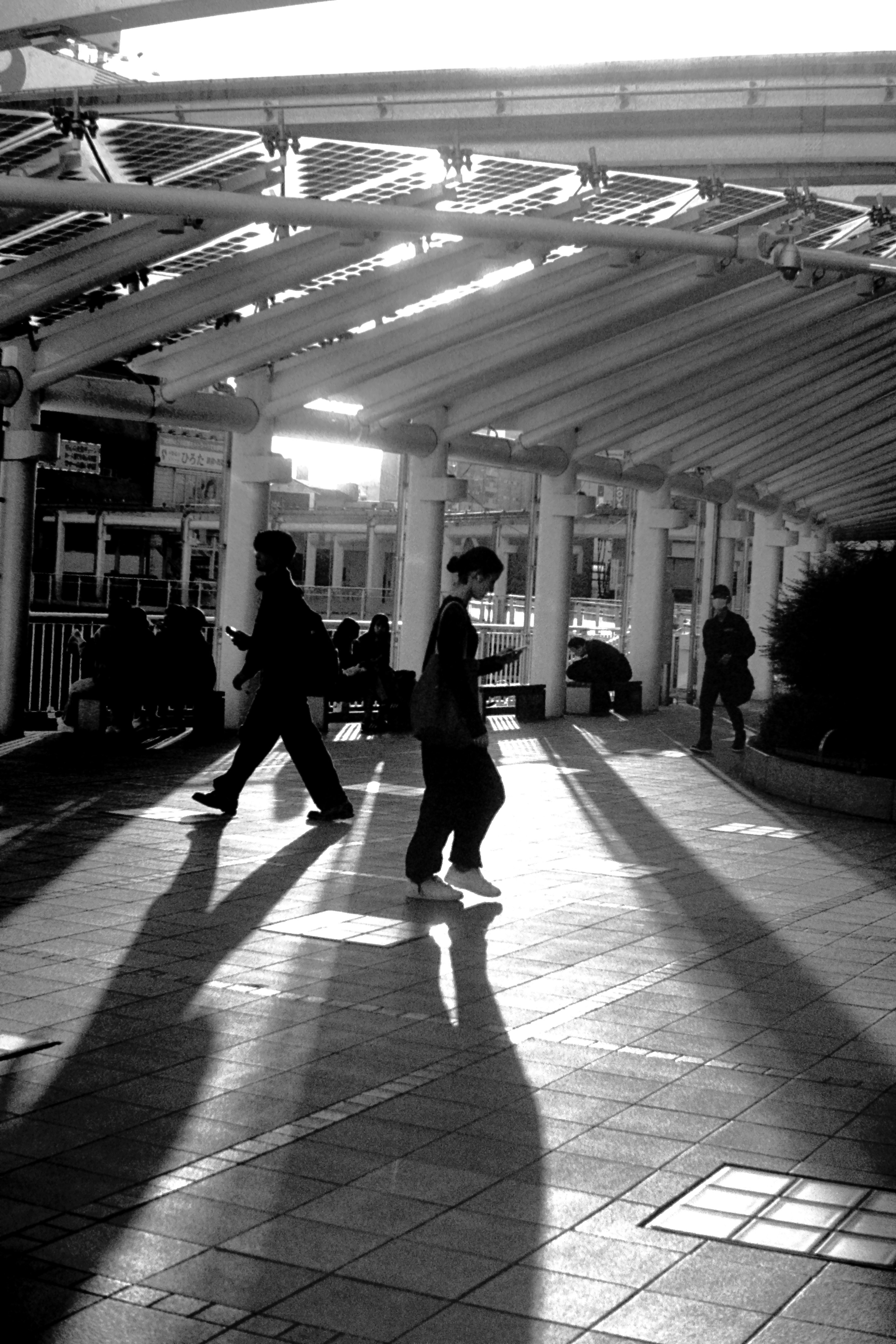 Black and white urban scene with long shadows cast on a walkway by people walking