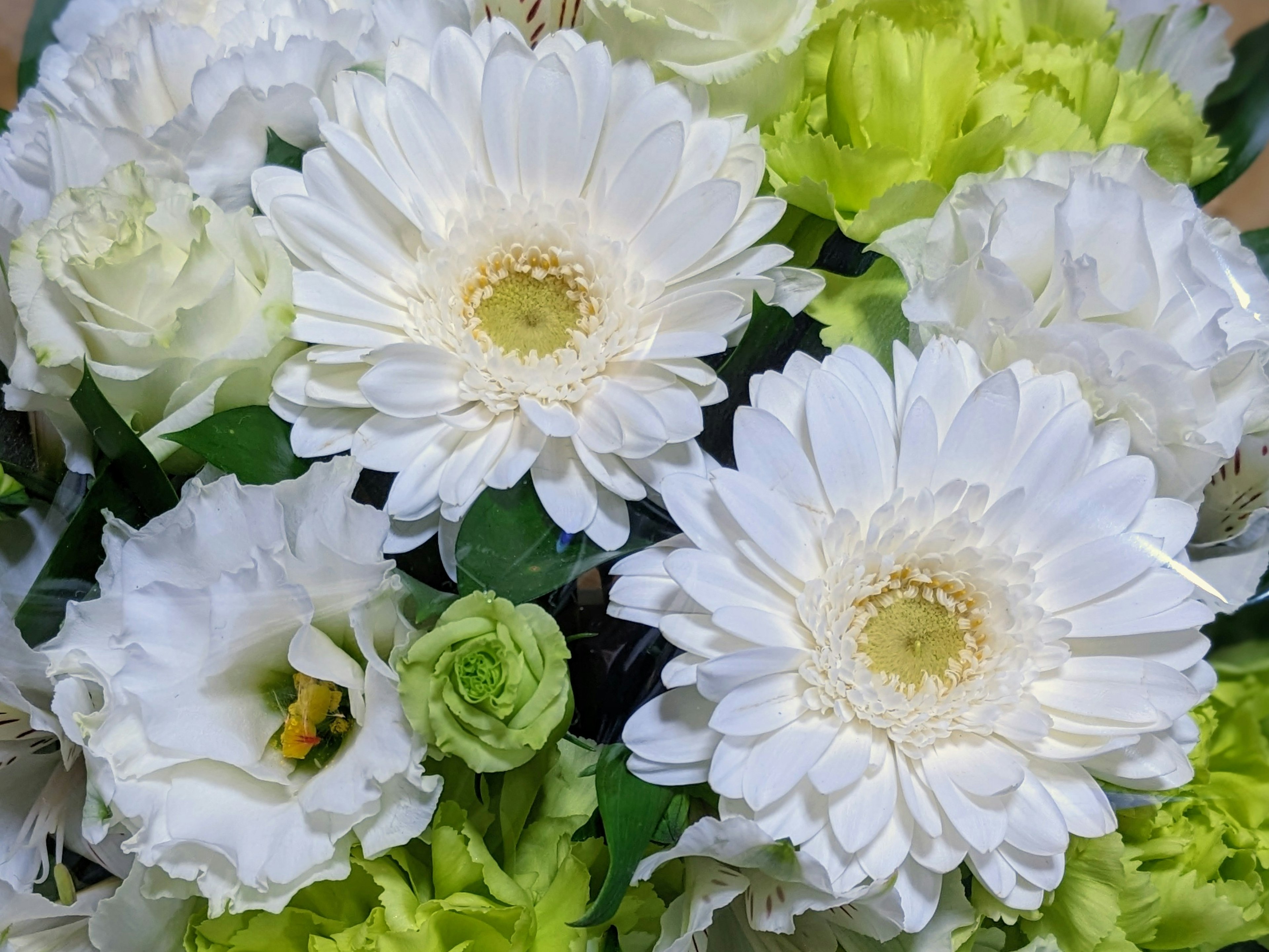 Un ramo de flores blancas con acentos verdes