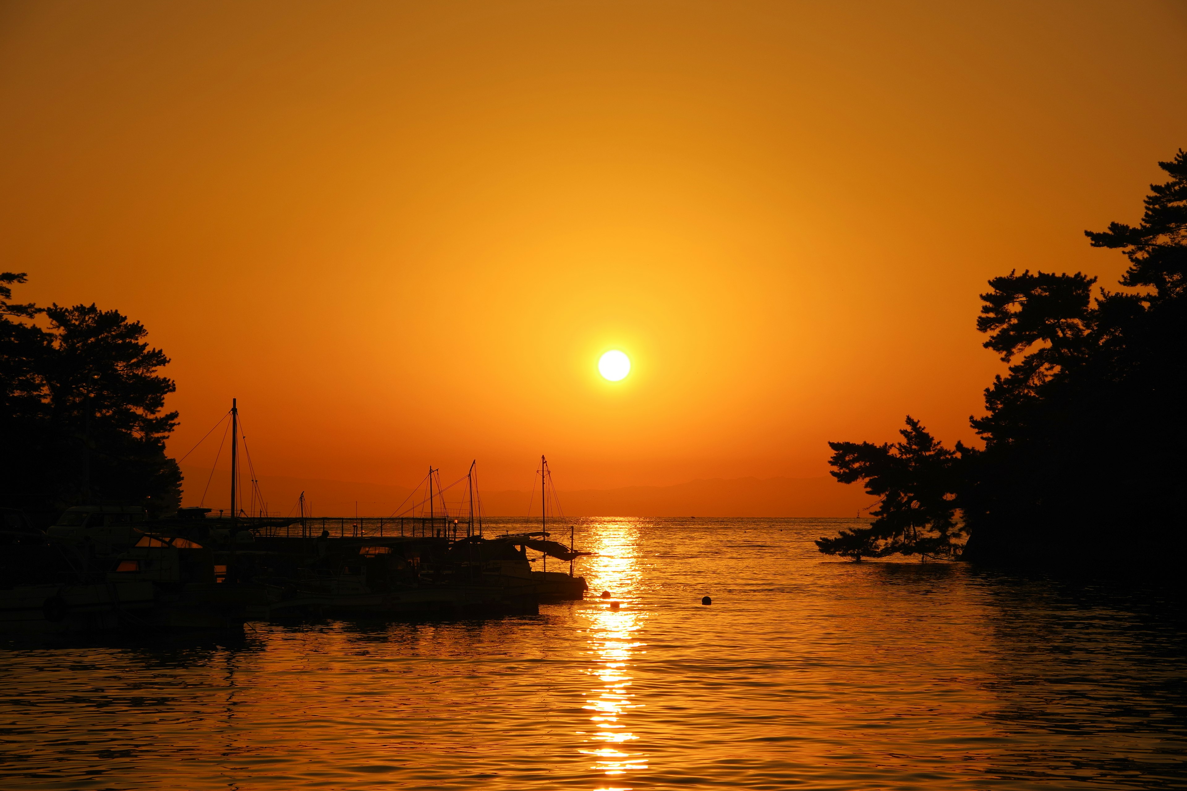 Beautiful sunset over the ocean with silhouettes of trees