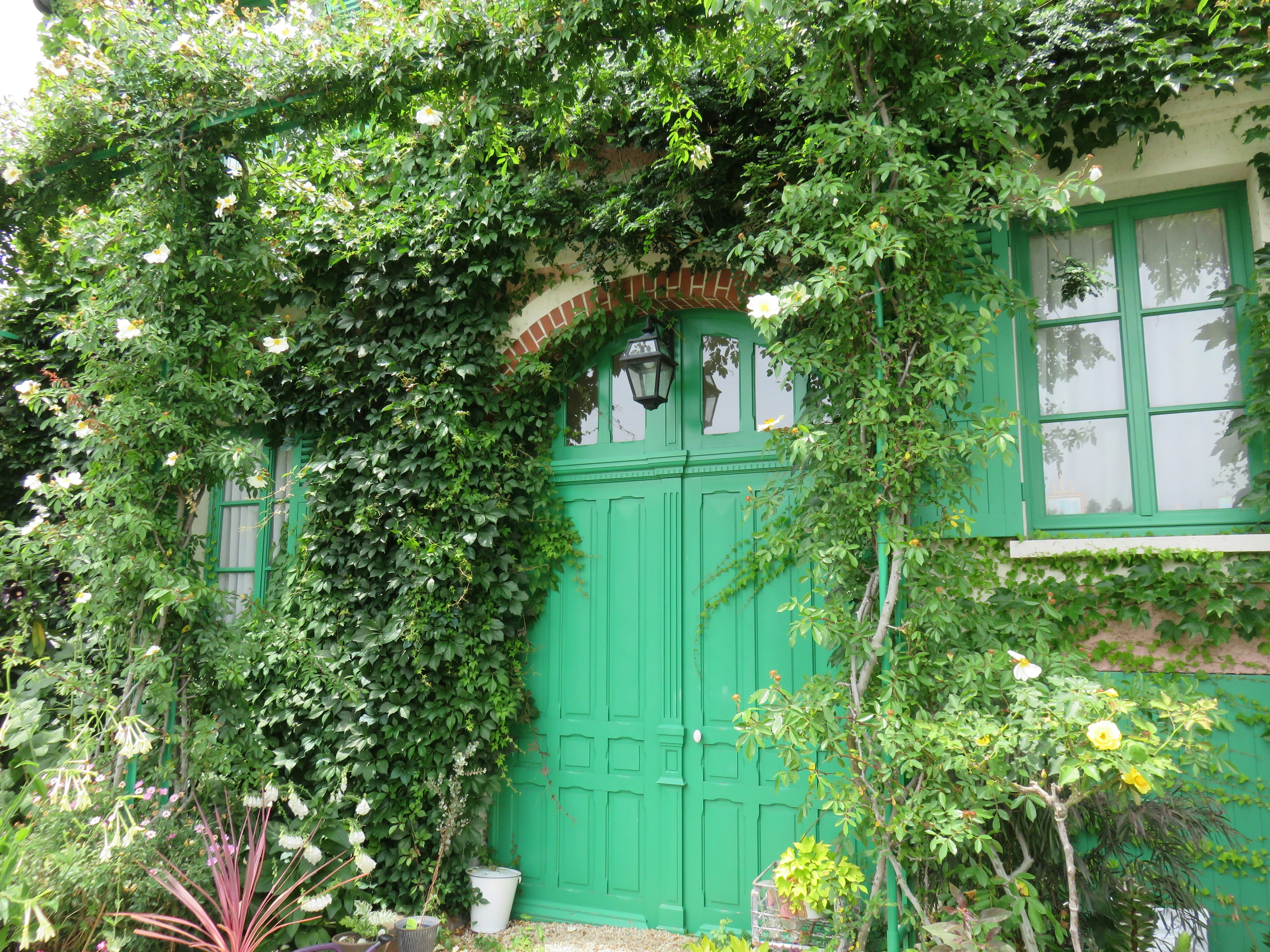 Exterior of a building with a green door framed by lush green plants