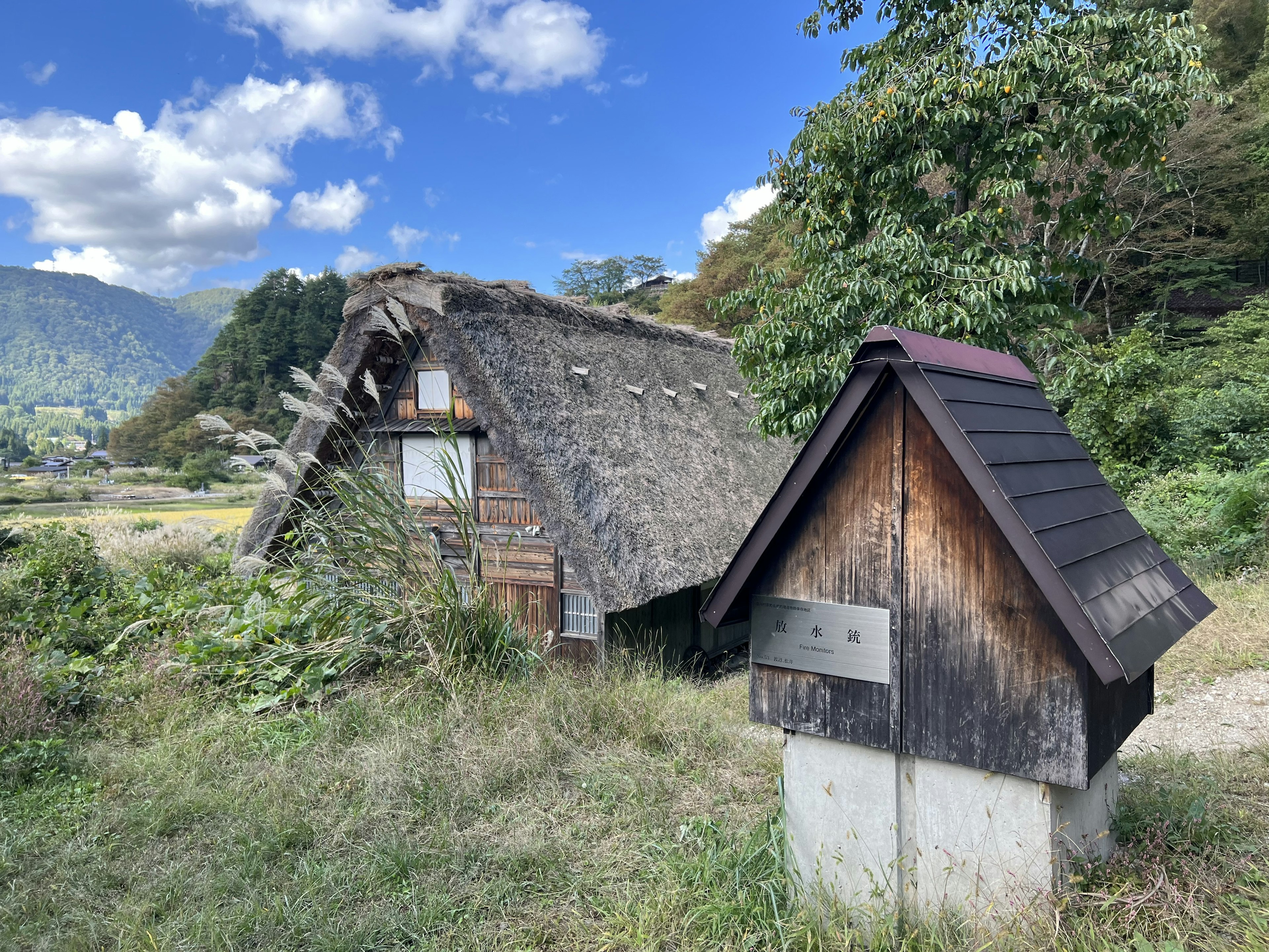 A thatched-roof old house beside a small shed in a rural landscape