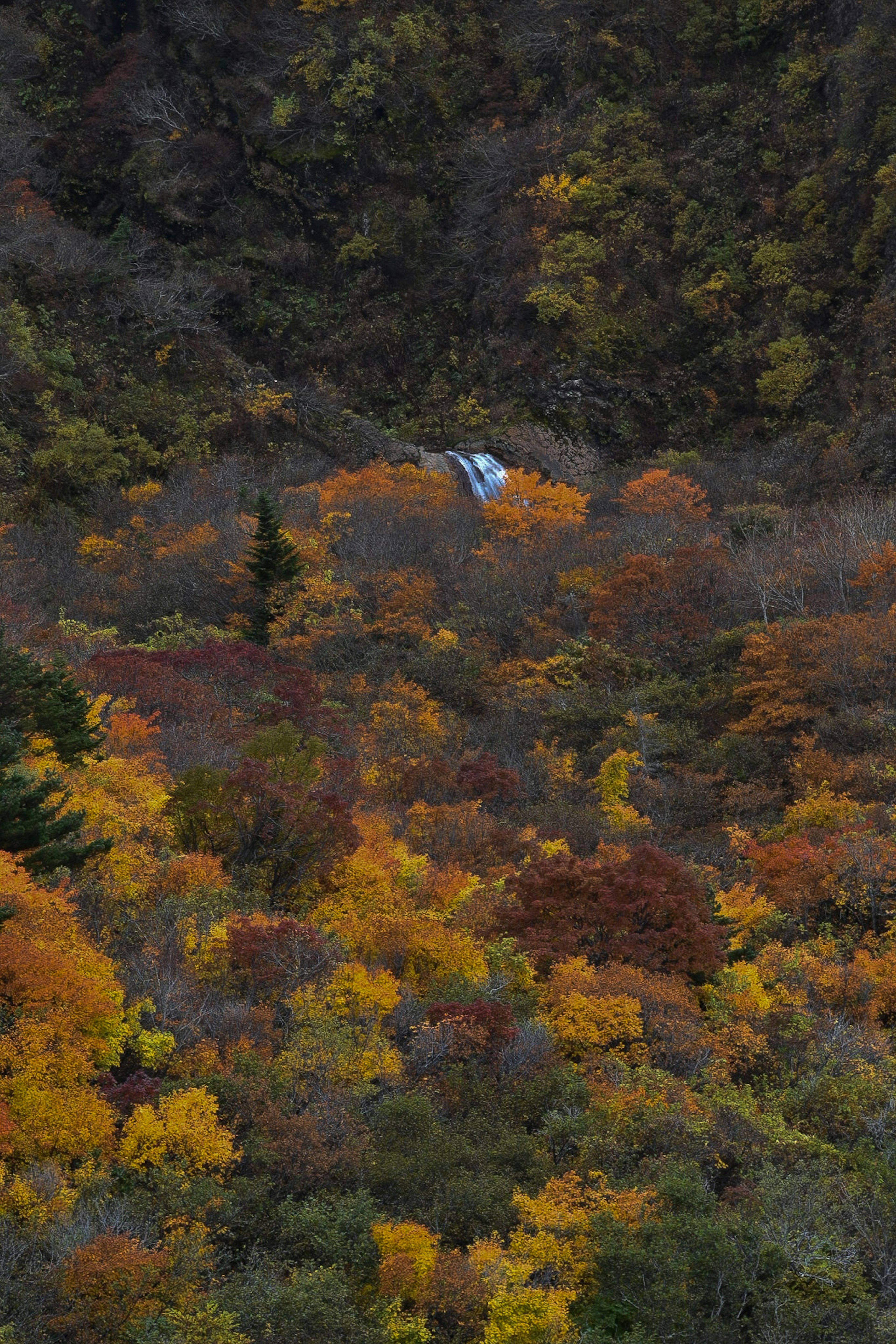 秋の色彩が広がる山の風景に小さな滝が見える