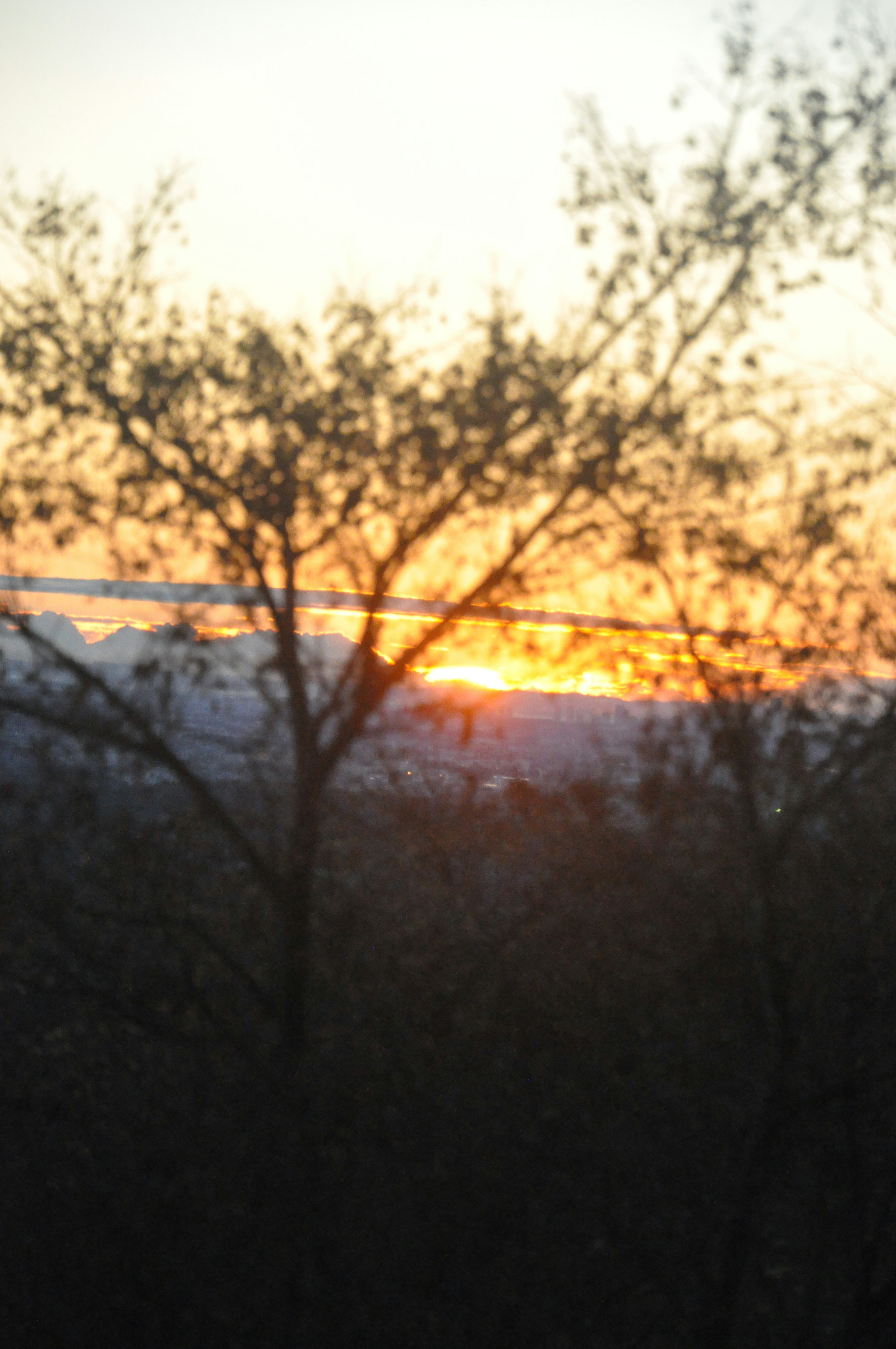 Silhouette von Bäumen vor einem Sonnenuntergangshimmel