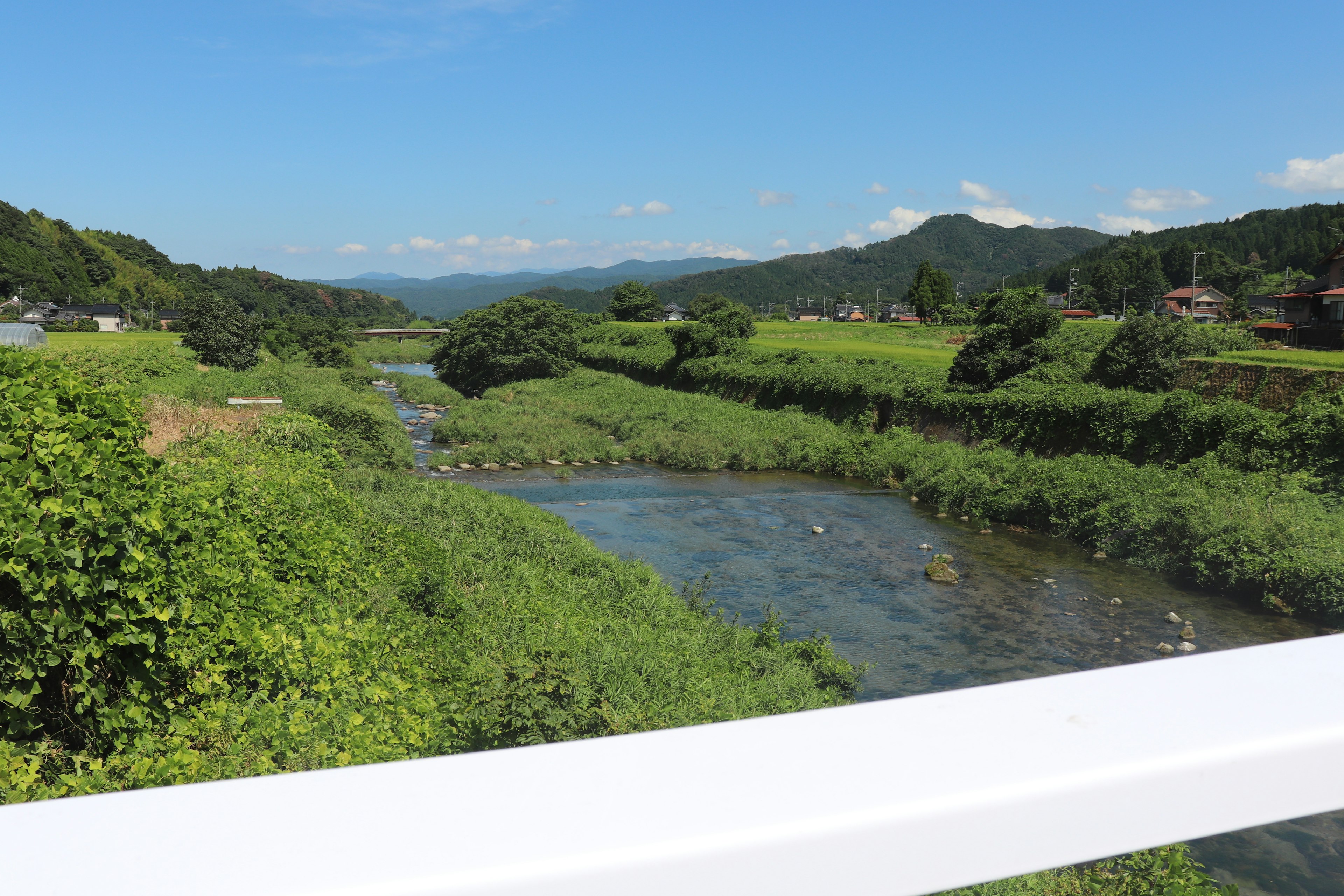 Vista panoramica di un fiume con vegetazione lussureggiante e cielo blu