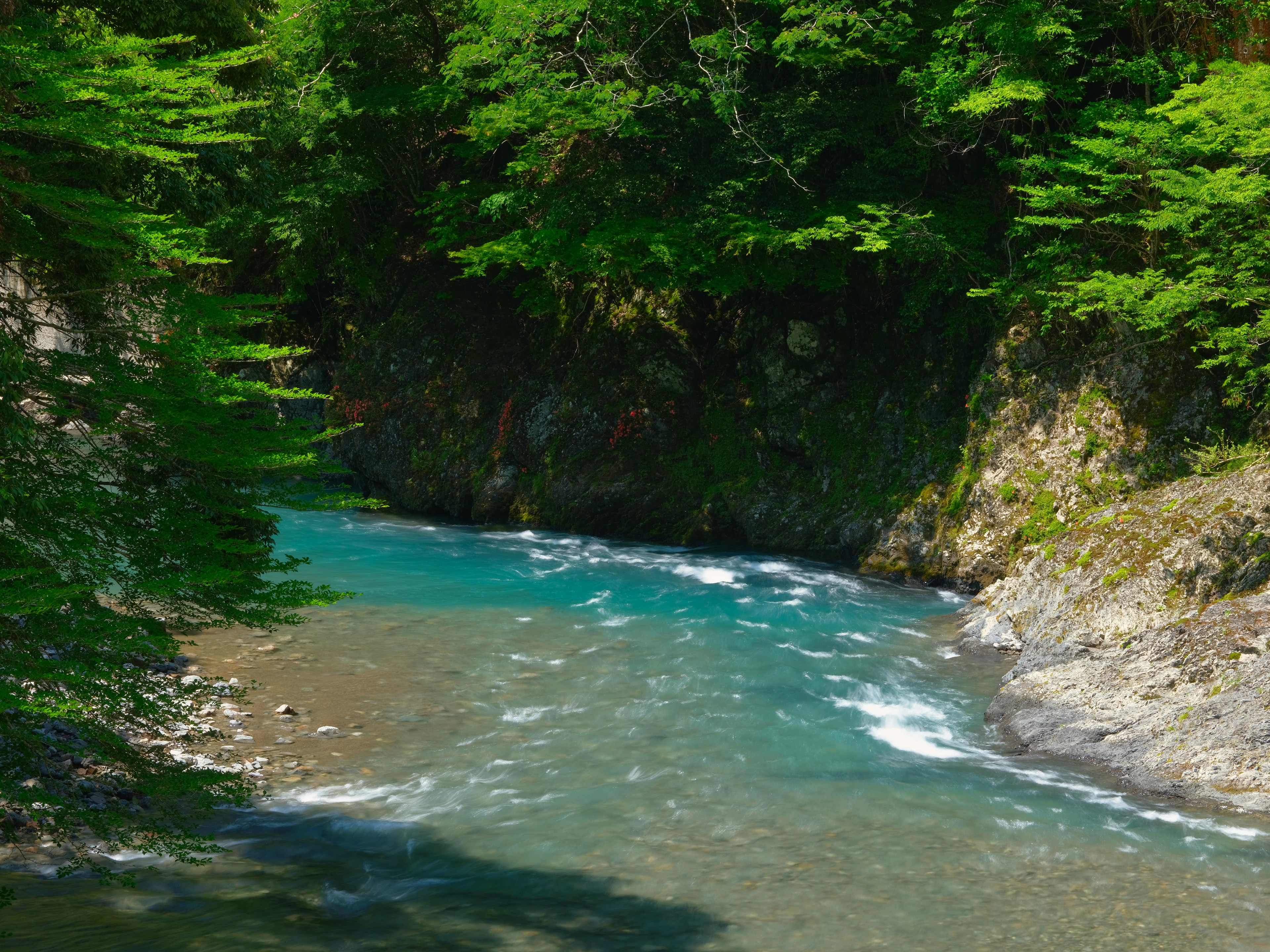 Una vista panoramica di un fiume blu circondato da alberi verdi lussureggianti