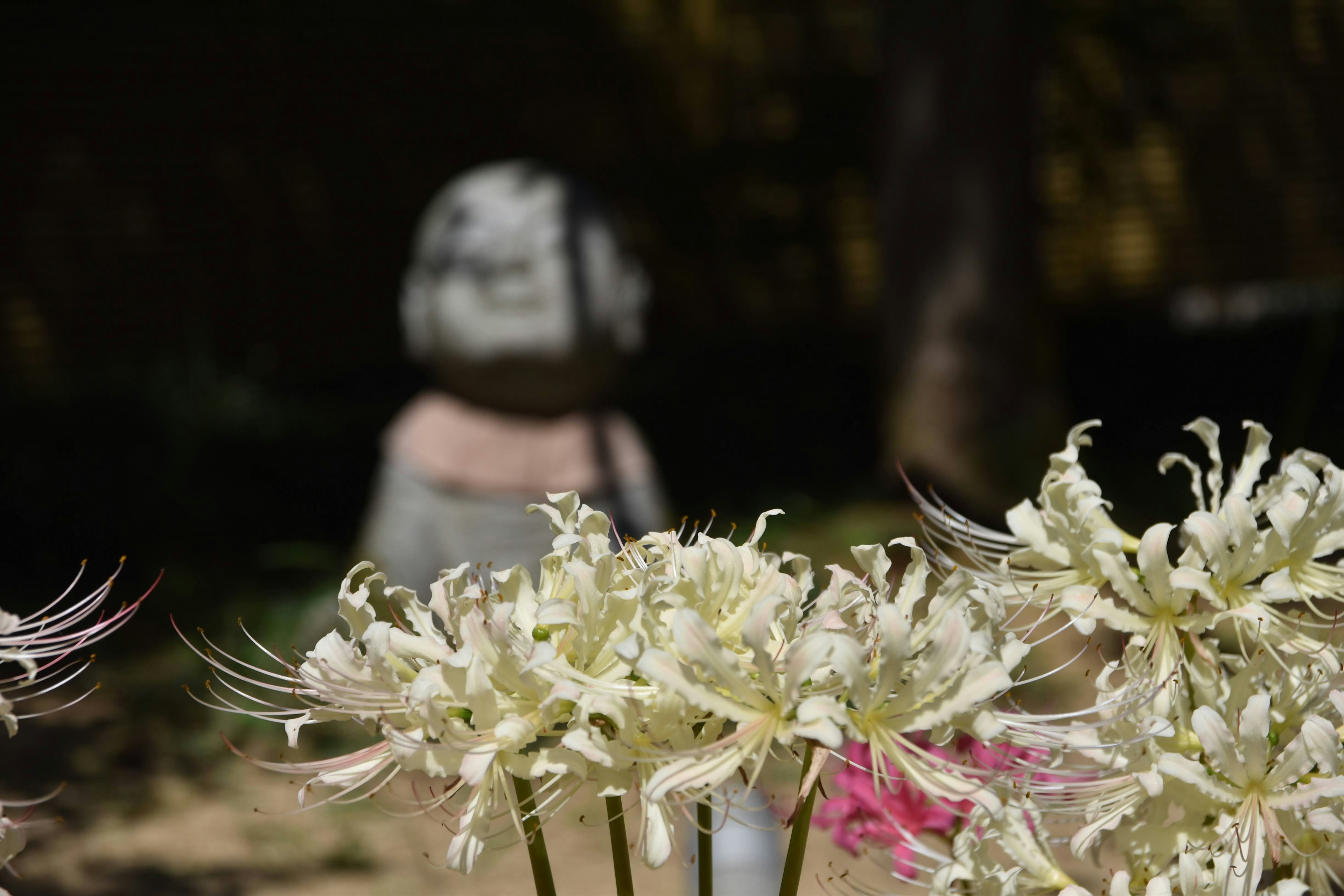 白い花が咲いている前景に石の彫刻がある庭の風景