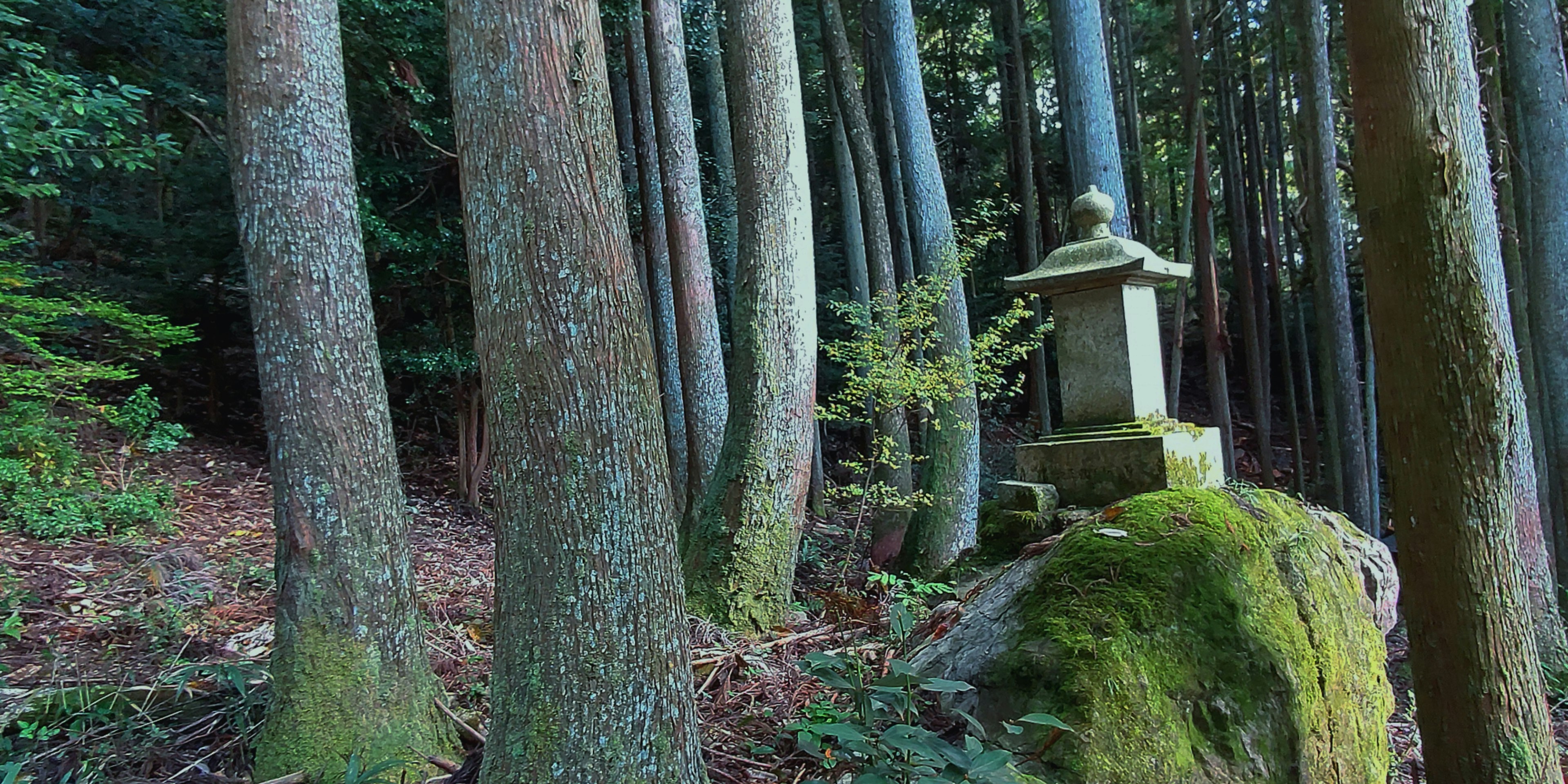 Stone monument in a forest with moss-covered rock