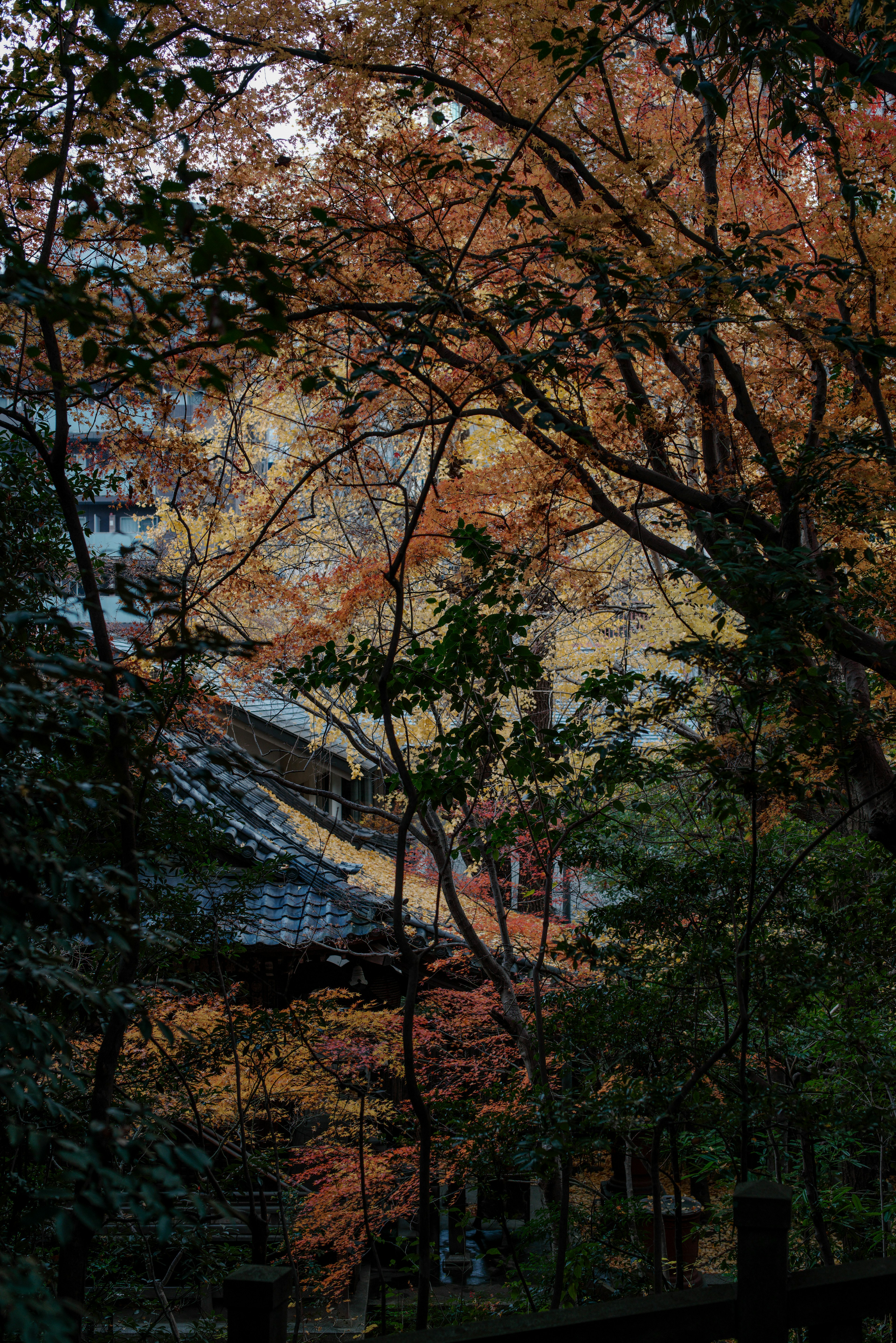 秋の紅葉に囲まれた日本の伝統的な建物の風景