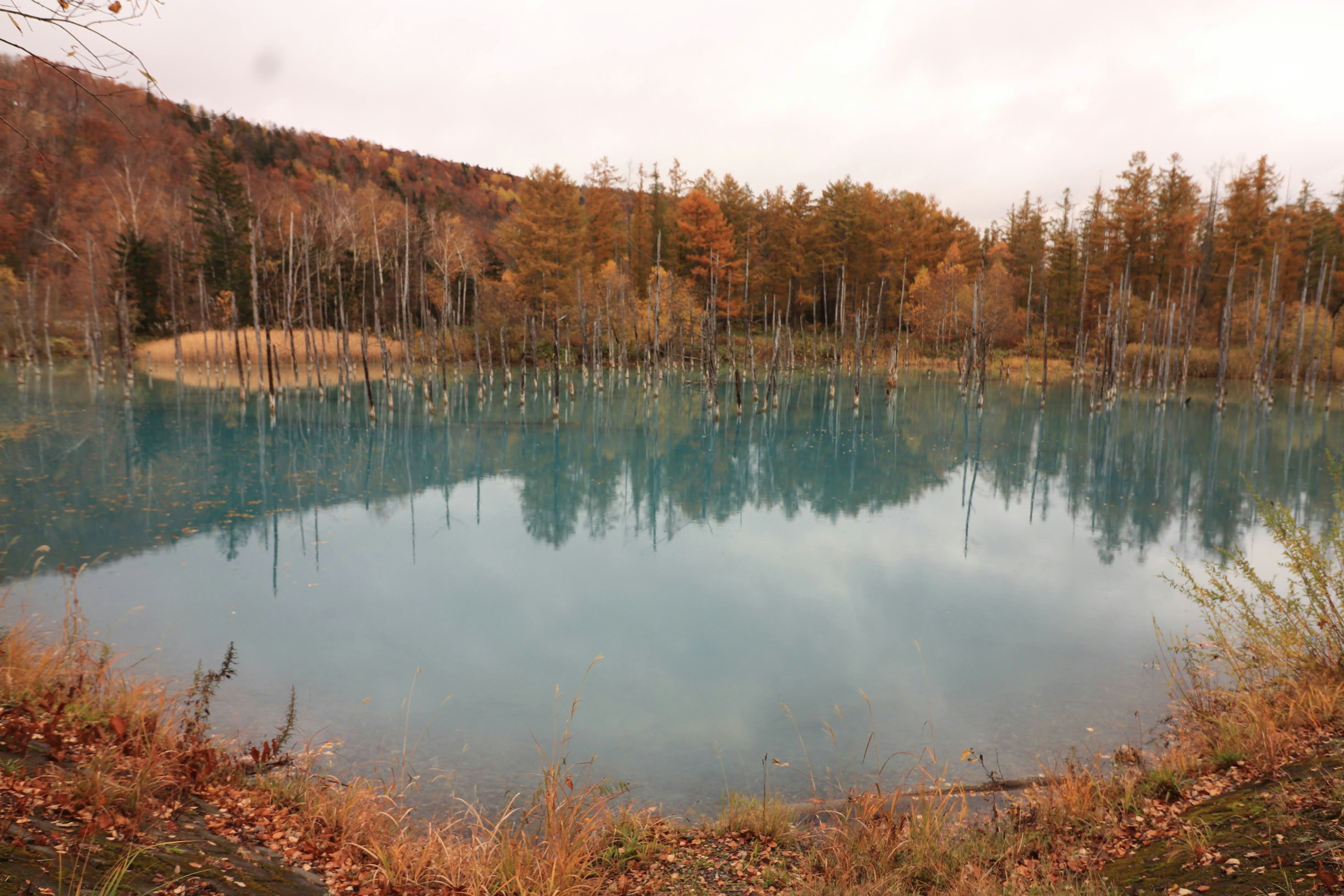 Danau tenang yang memantulkan air biru dan dedaunan musim gugur