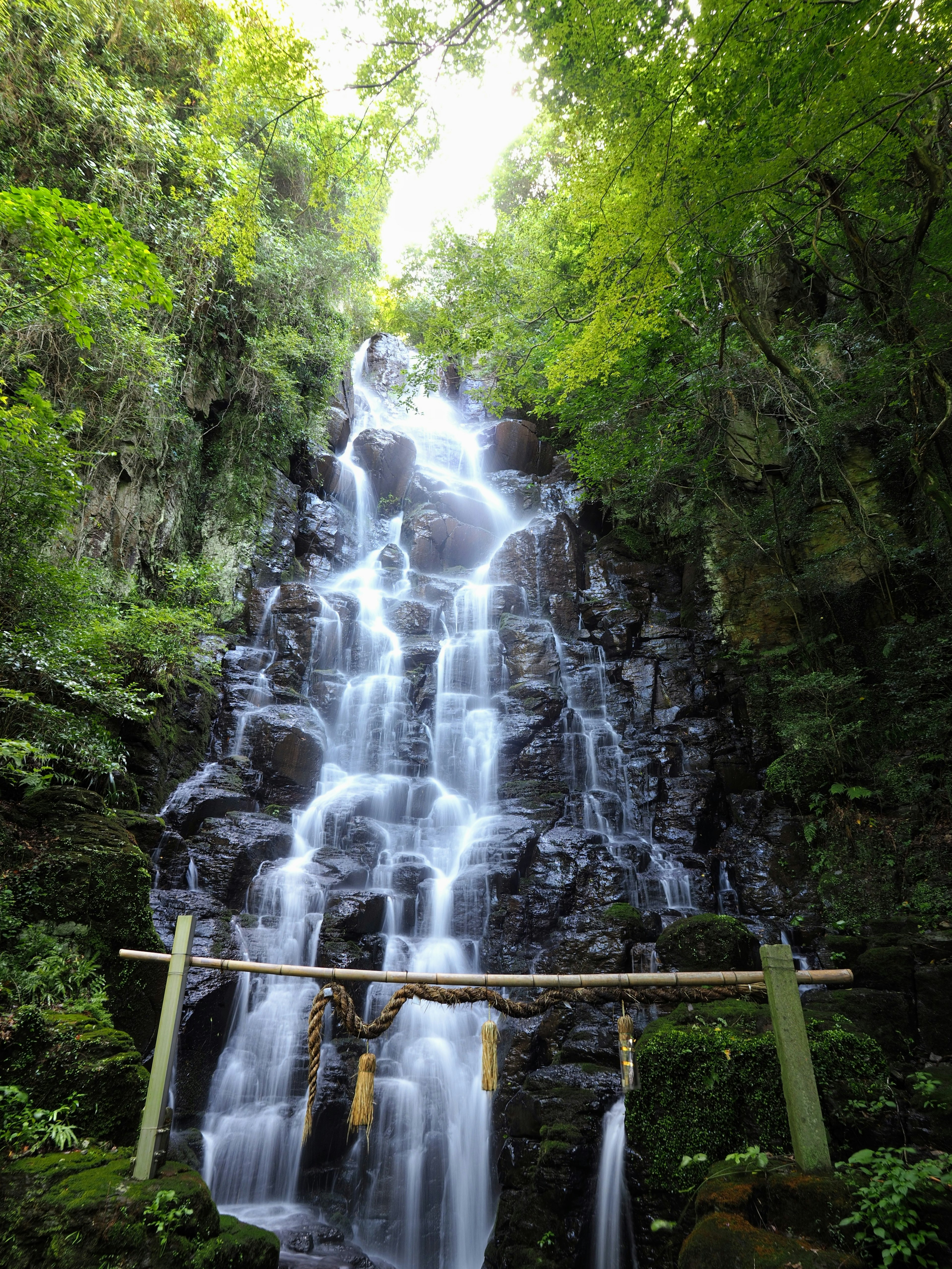 Una hermosa cascada que cae en un paisaje verde con una puerta torii de bambú