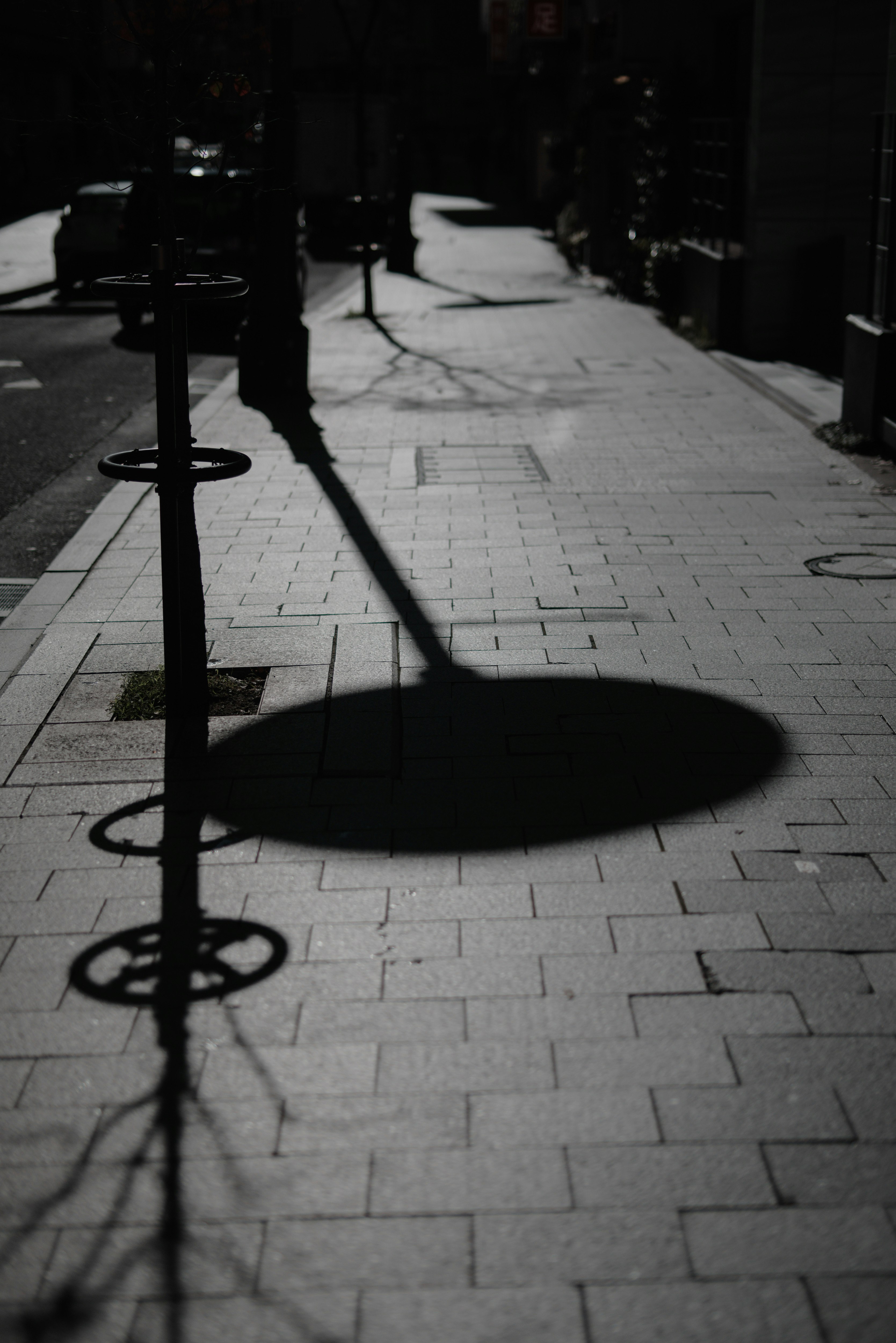 Künstlerische Schatten auf einem schwach beleuchteten Gehweg mit Baumzweigen