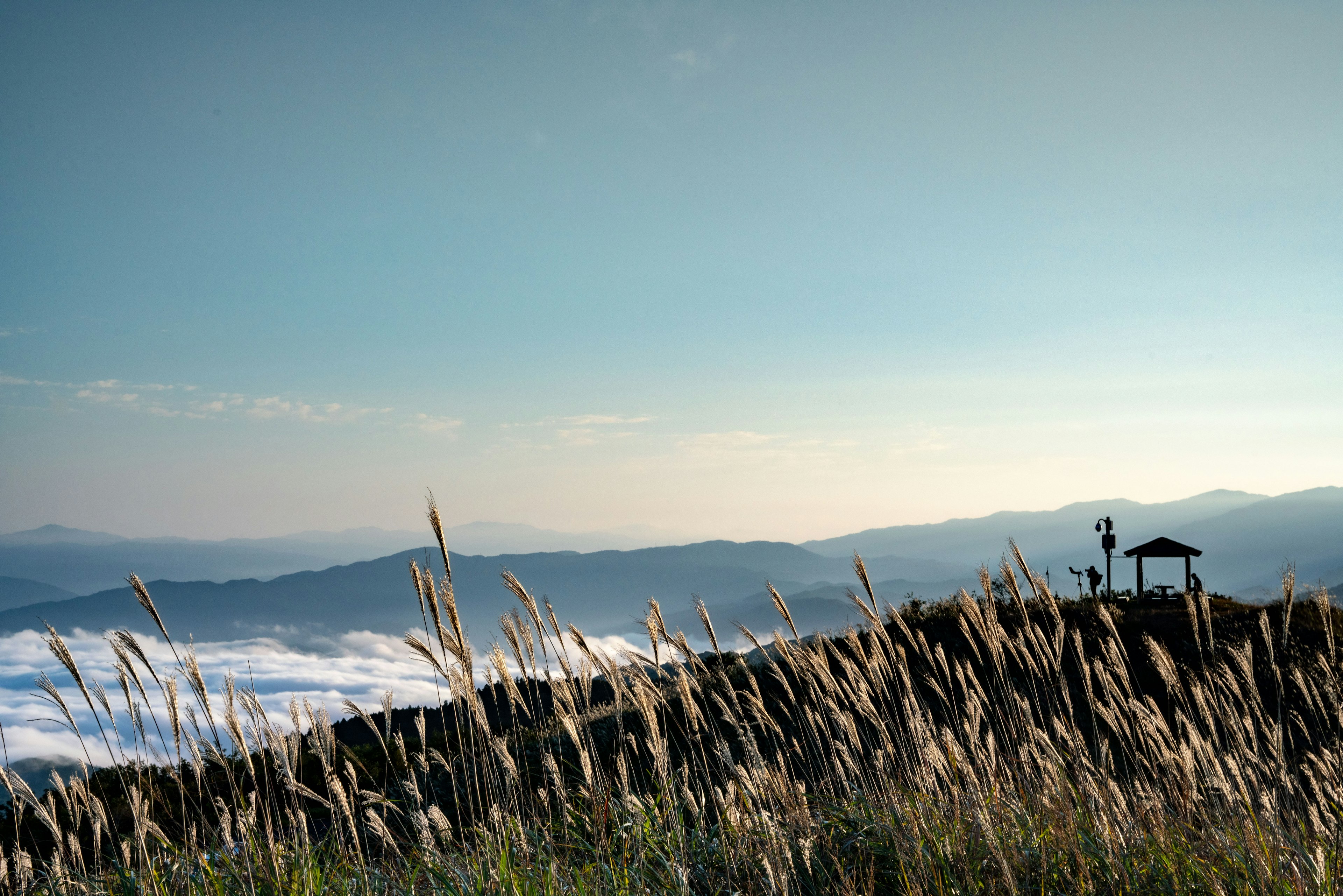 Scenic view of a hut on a mountain peak surrounded by tall grass