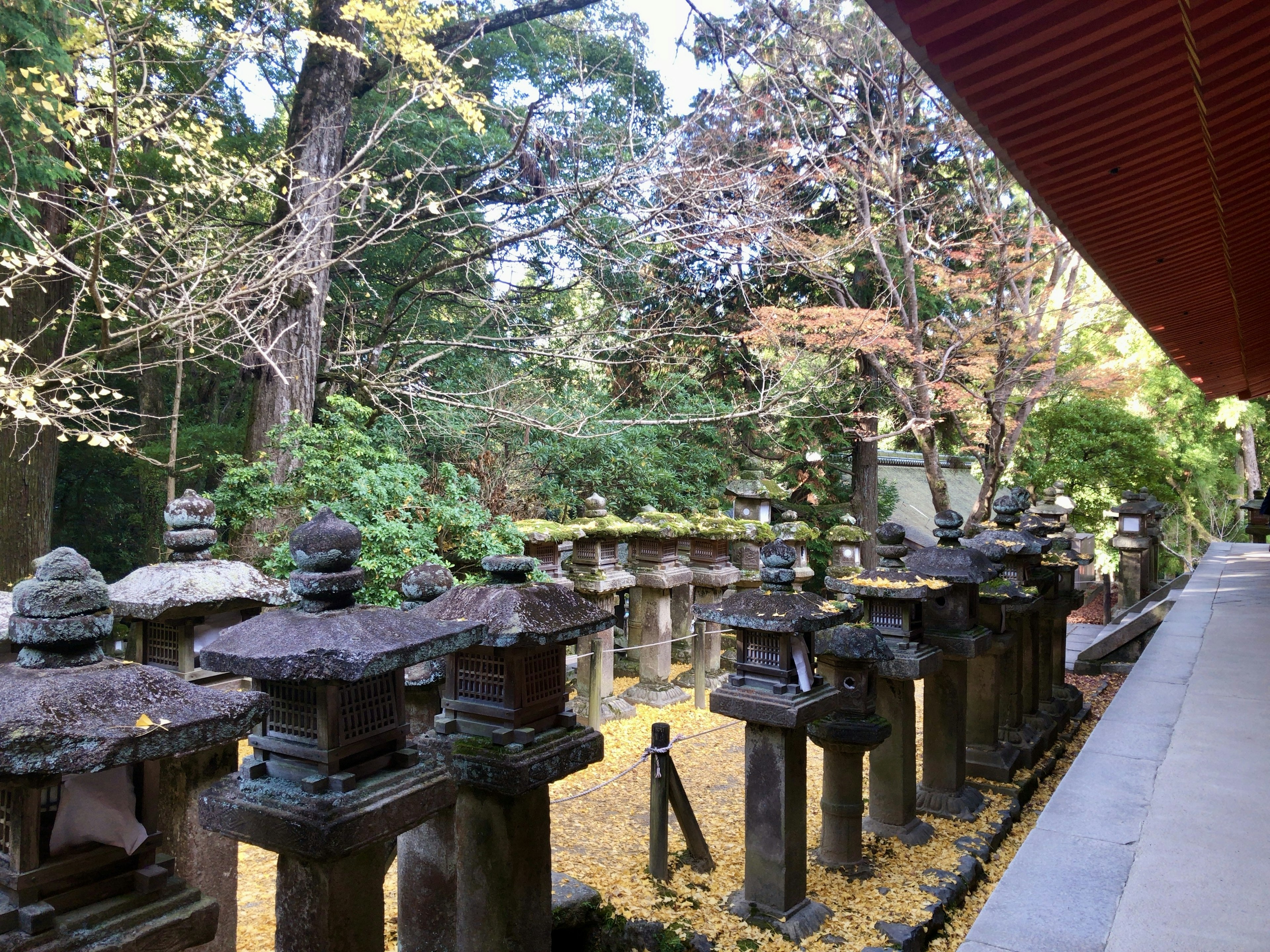 Stone lanterns lined up in an autumn garden with colorful trees