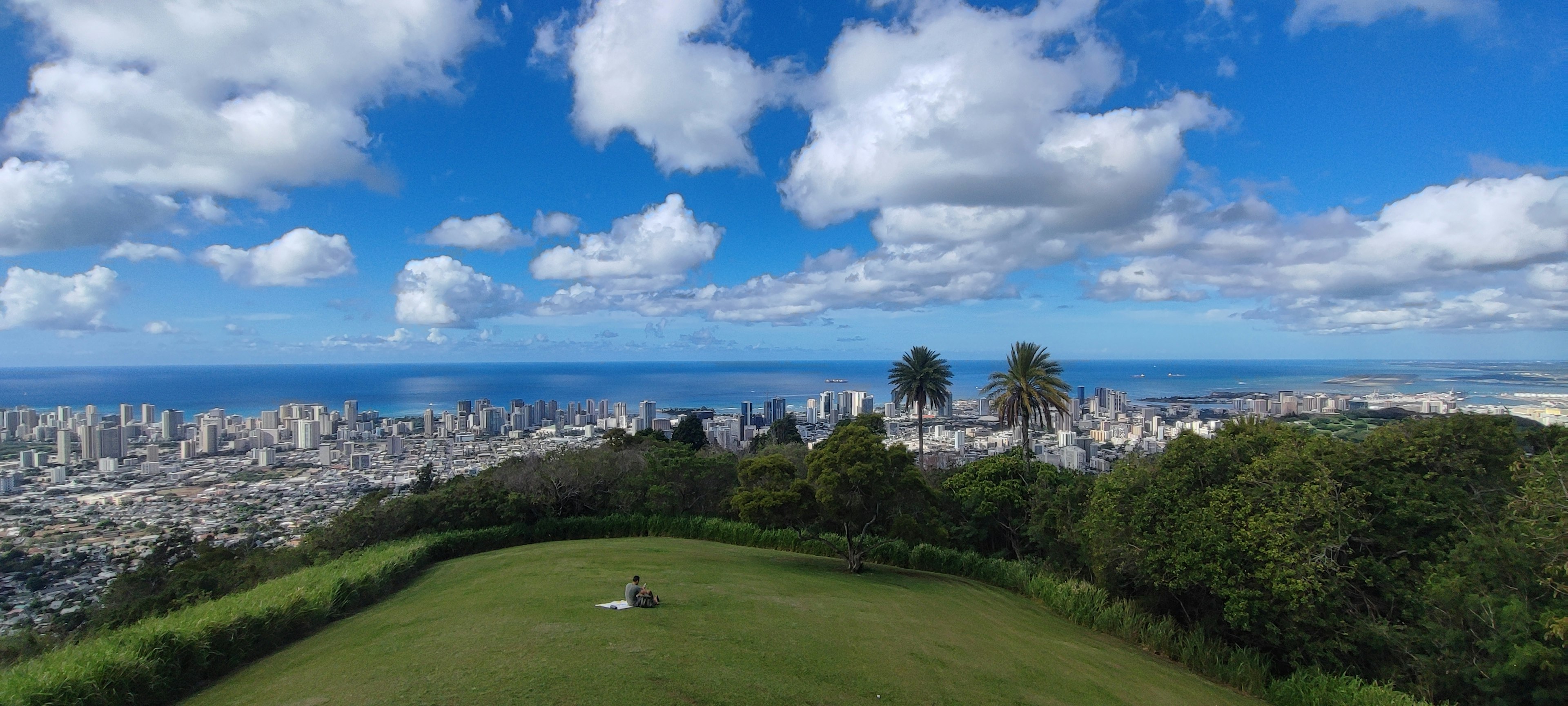 Vista panorámica de una ciudad bajo cielos azules con un parque verde