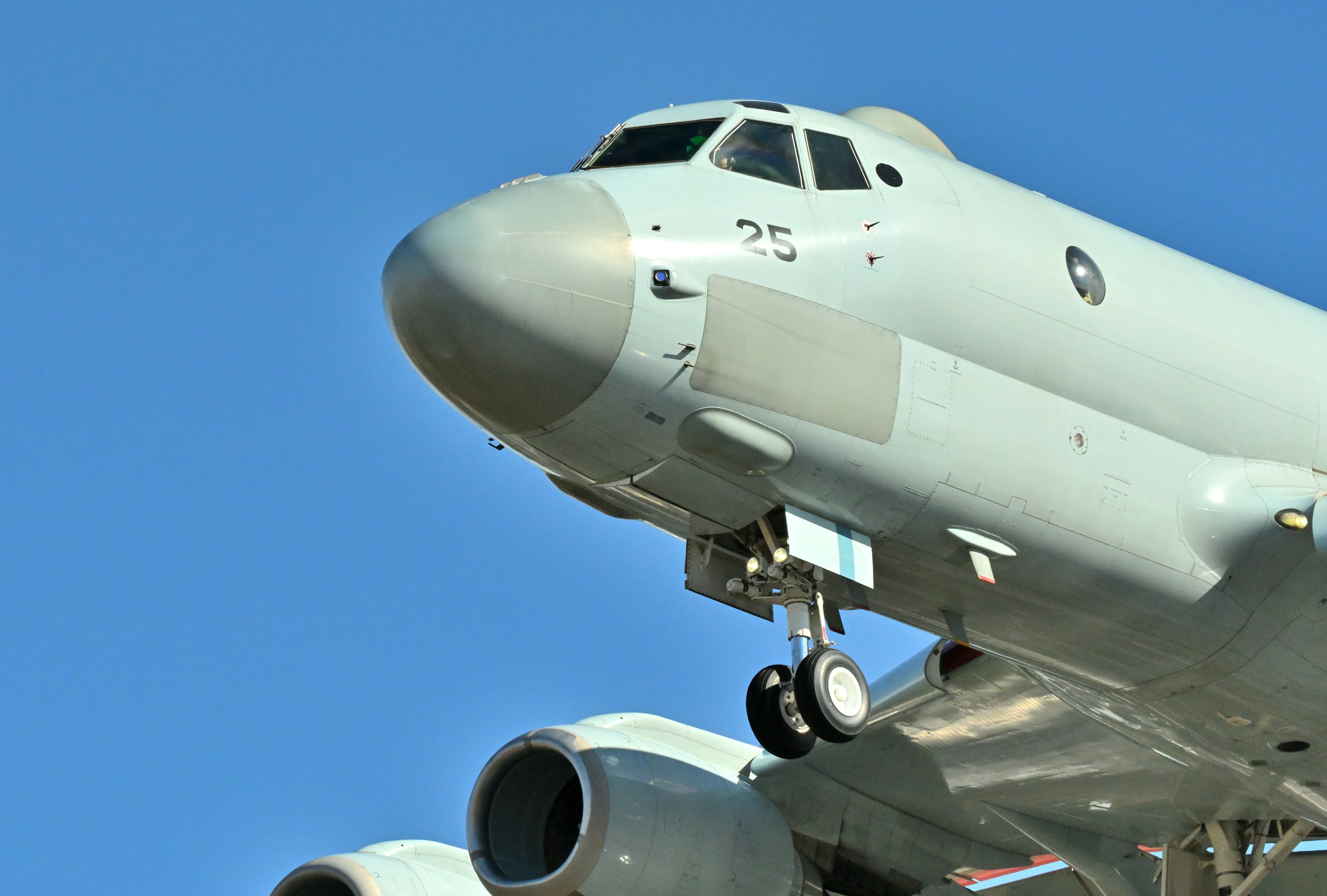 Nahaufnahme eines Flugzeugs, das die Nase und die Triebwerke vor einem blauen Himmel zeigt