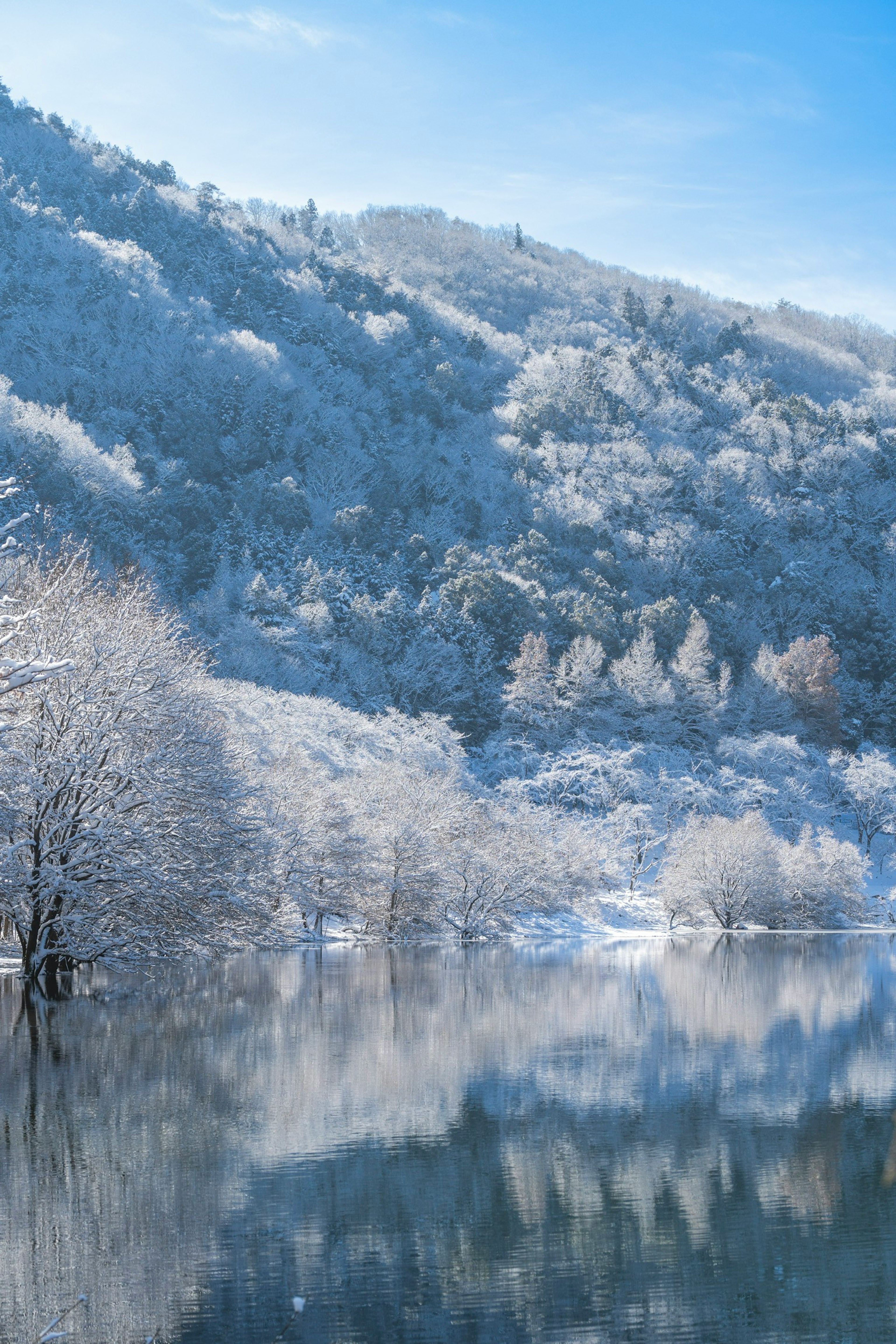 눈 덮인 산과 고요한 호수가 있는 겨울 풍경