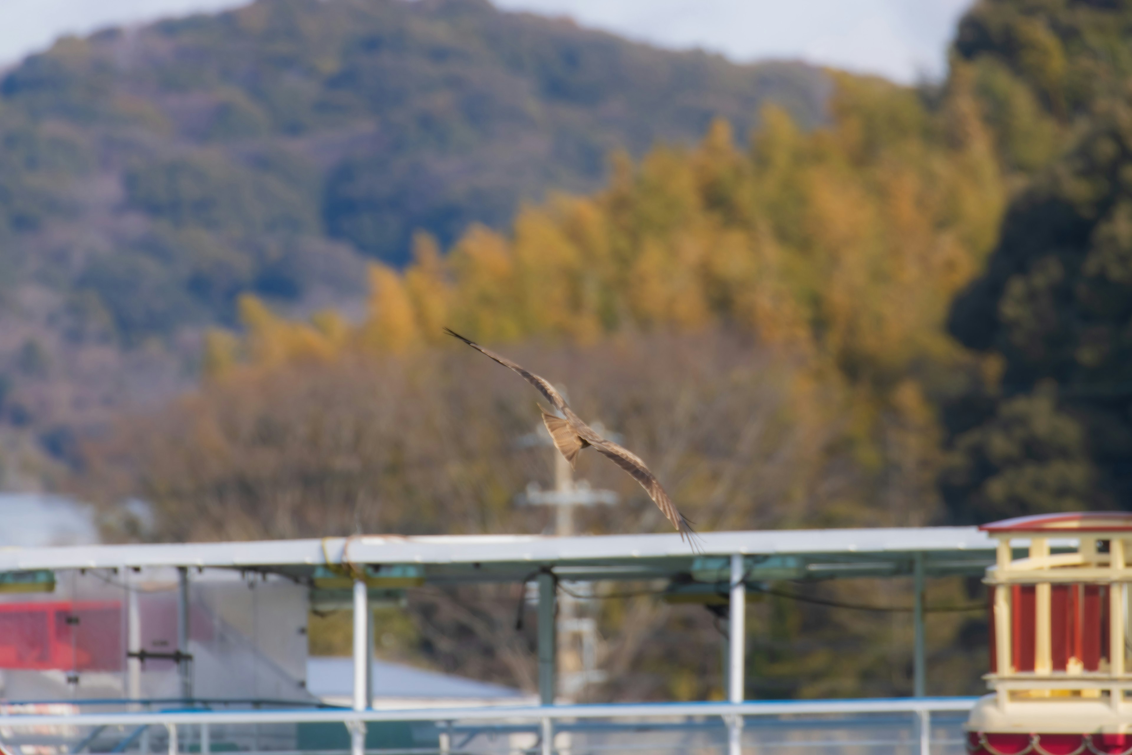 Vogel fliegt über eine Landschaft mit Bergen im Hintergrund