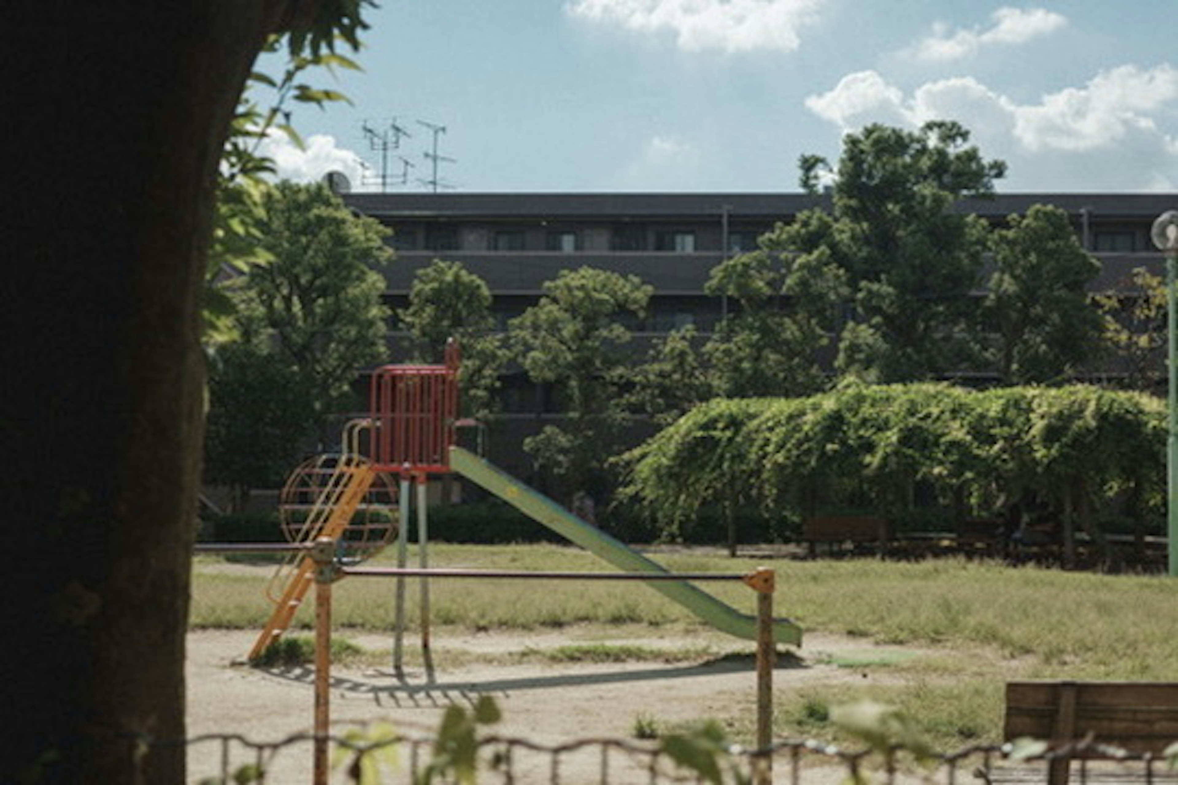 Playground slide with greenery in a park