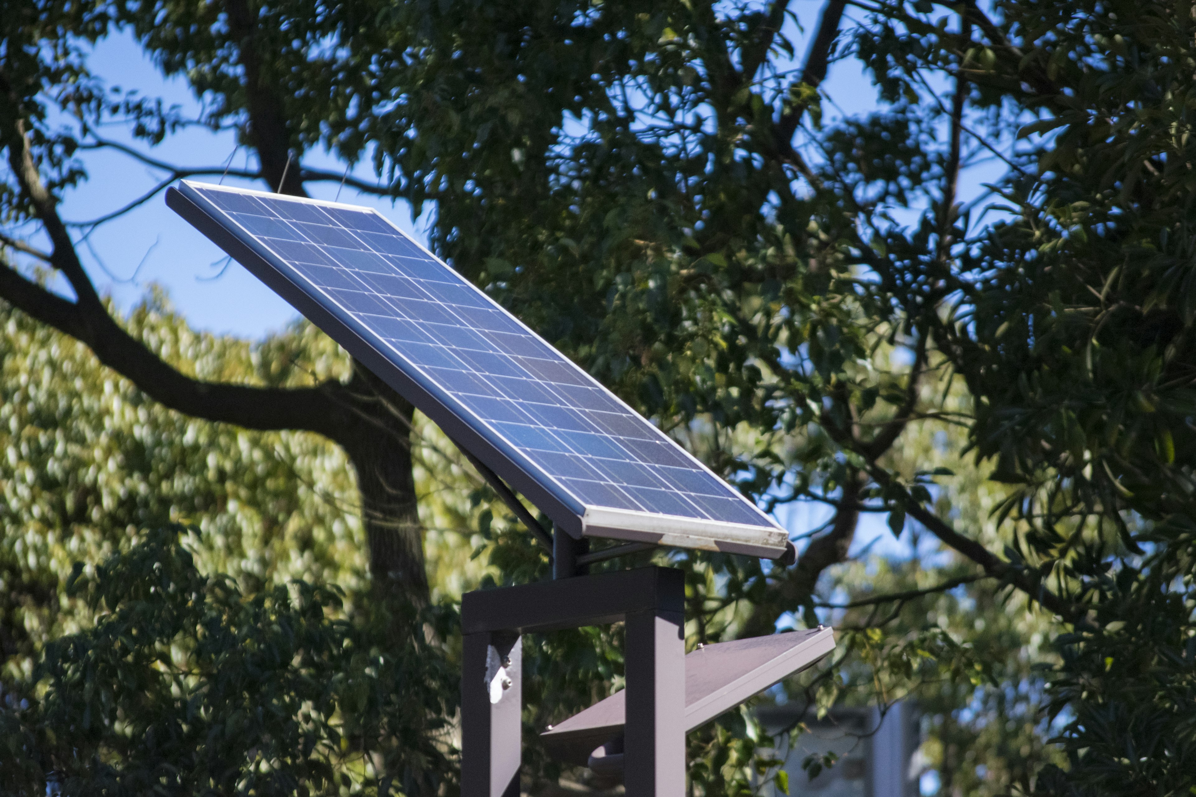 Panneau solaire installé parmi les arbres