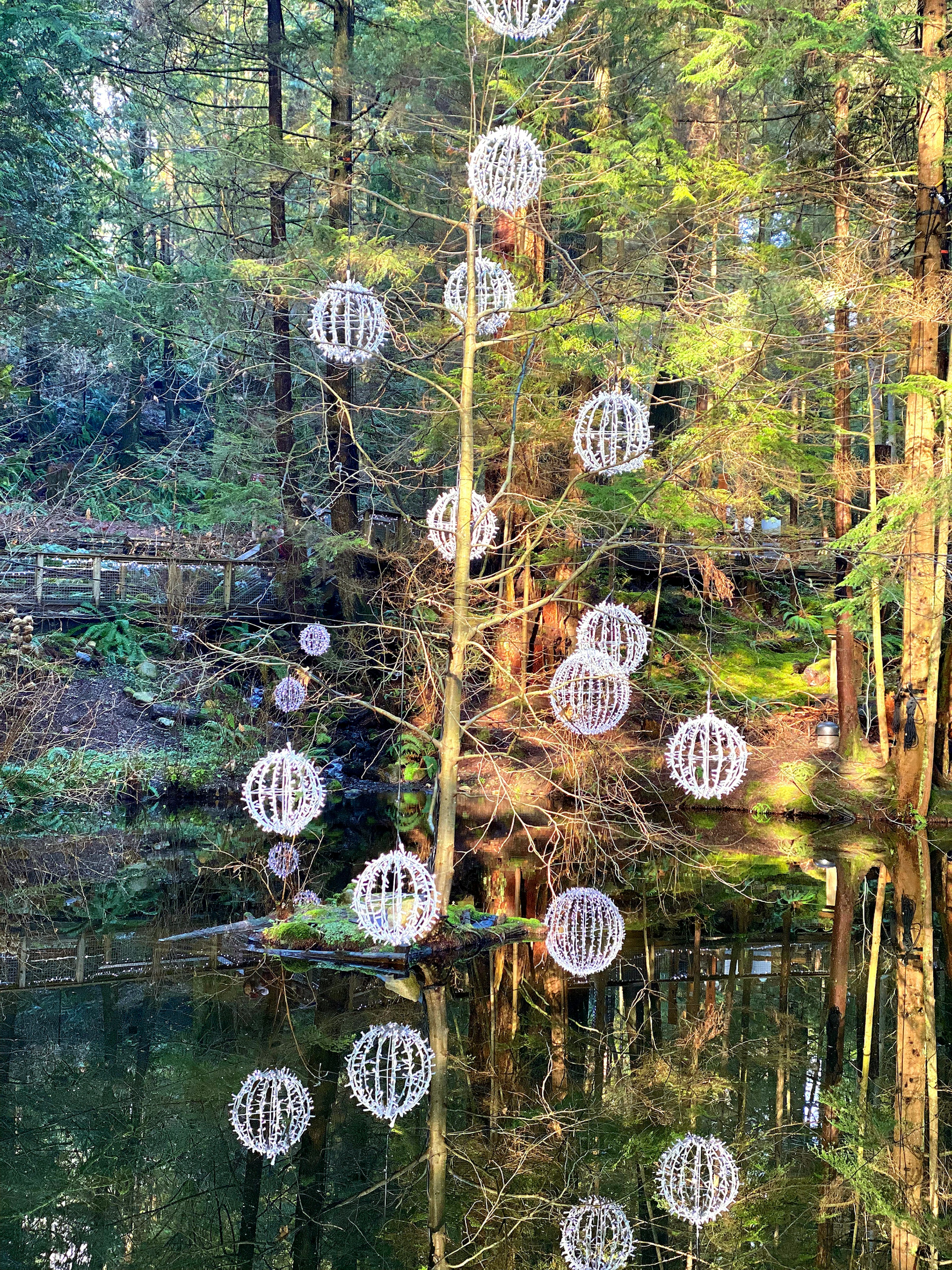 Baum mit weißen Ornamenten, der im Wasser reflektiert wird, umgeben von Grün