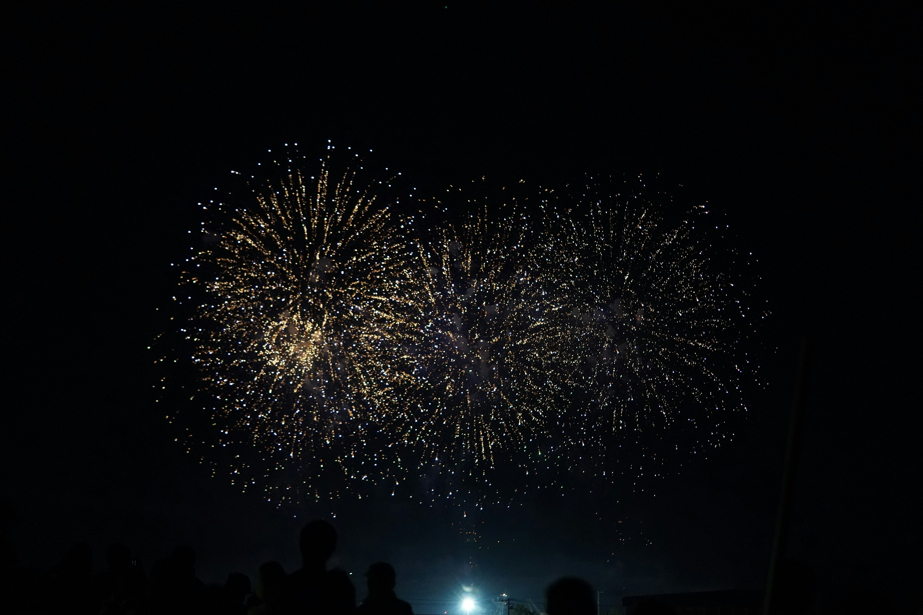 Fireworks display in the night sky with golden sparks