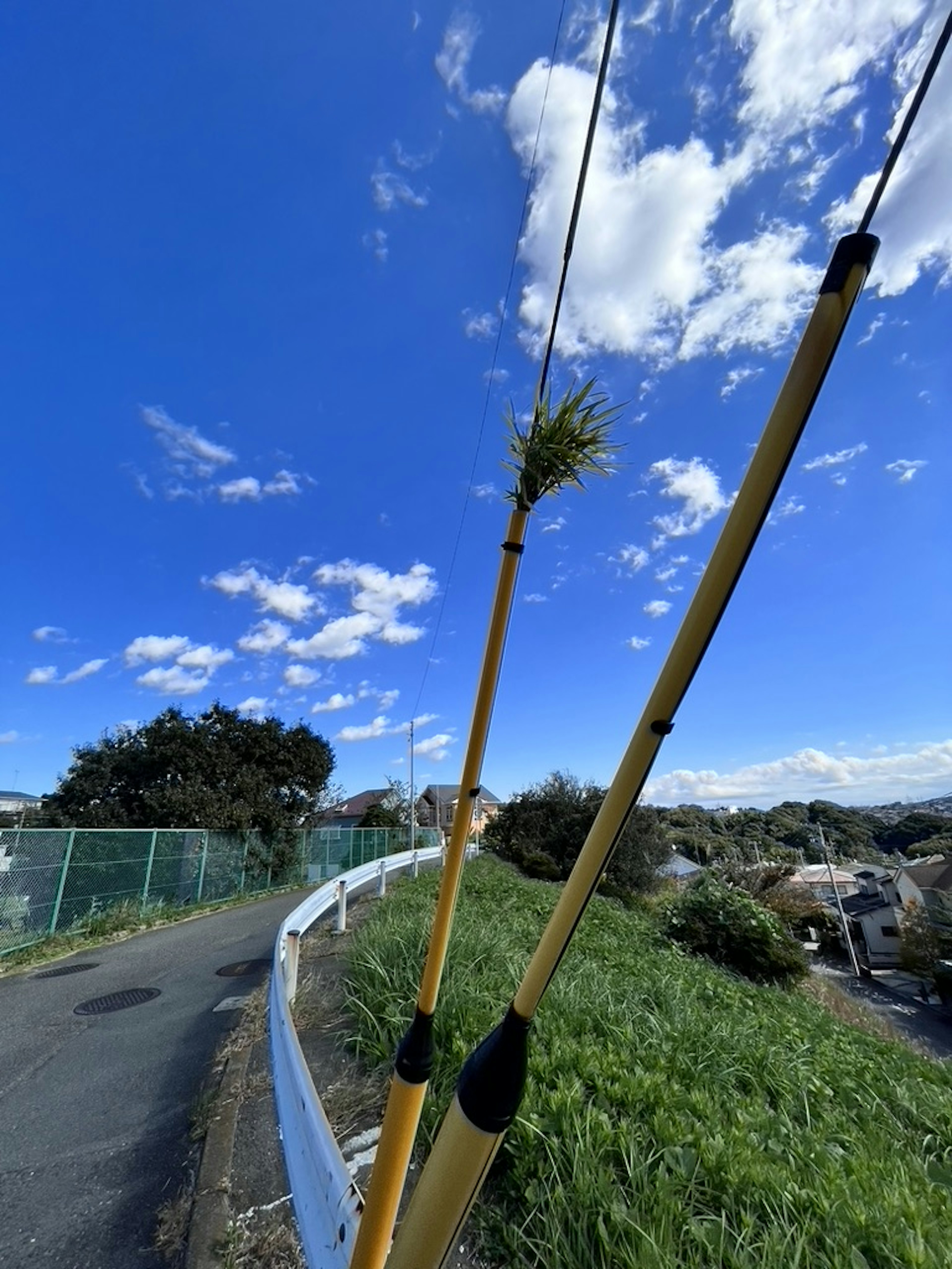 青空の下に立つ2本の黄色い棒と緑の植物