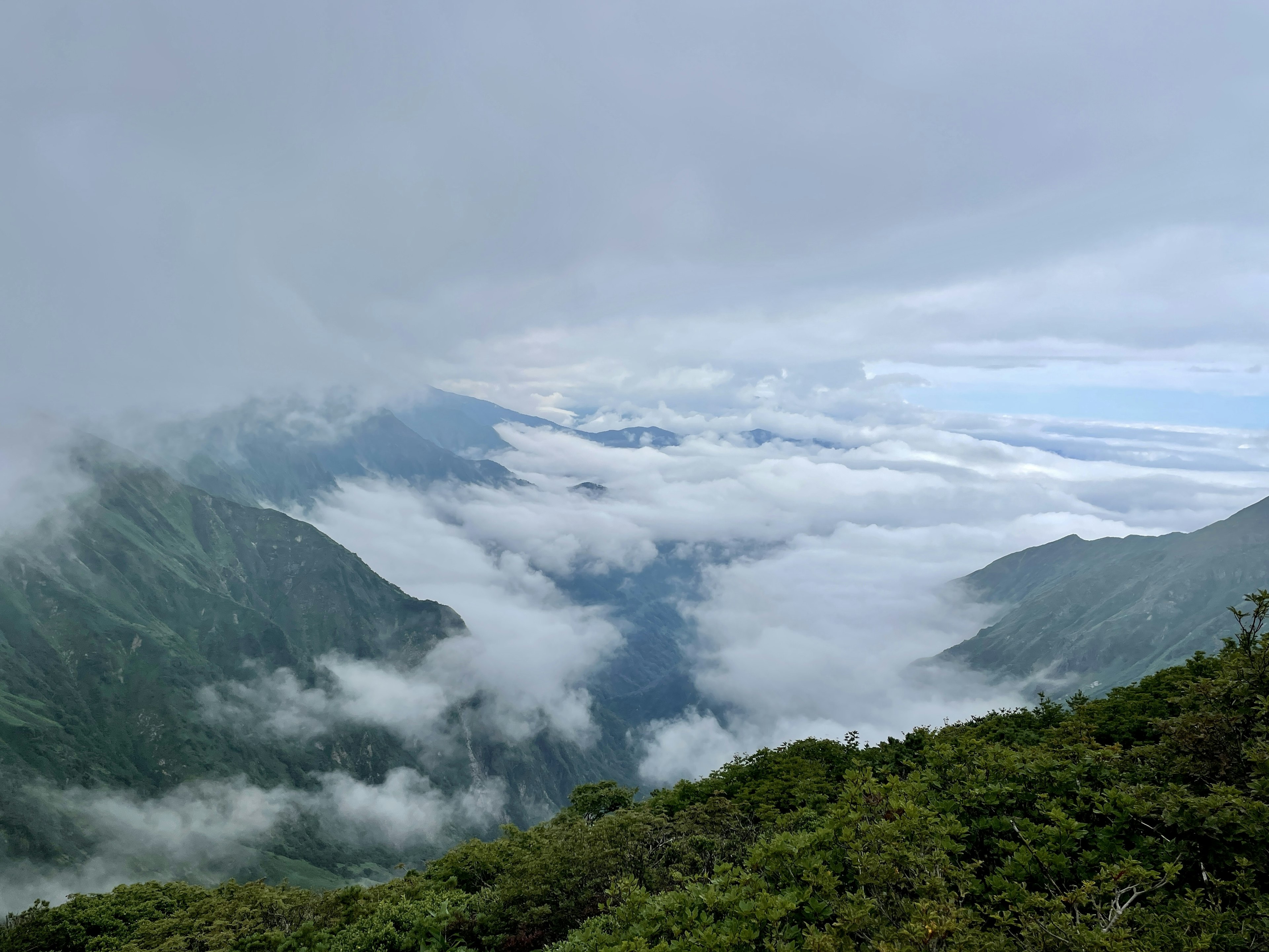 Schöne Landschaft mit in Nebel gehüllten Bergen und Wolkenmeer