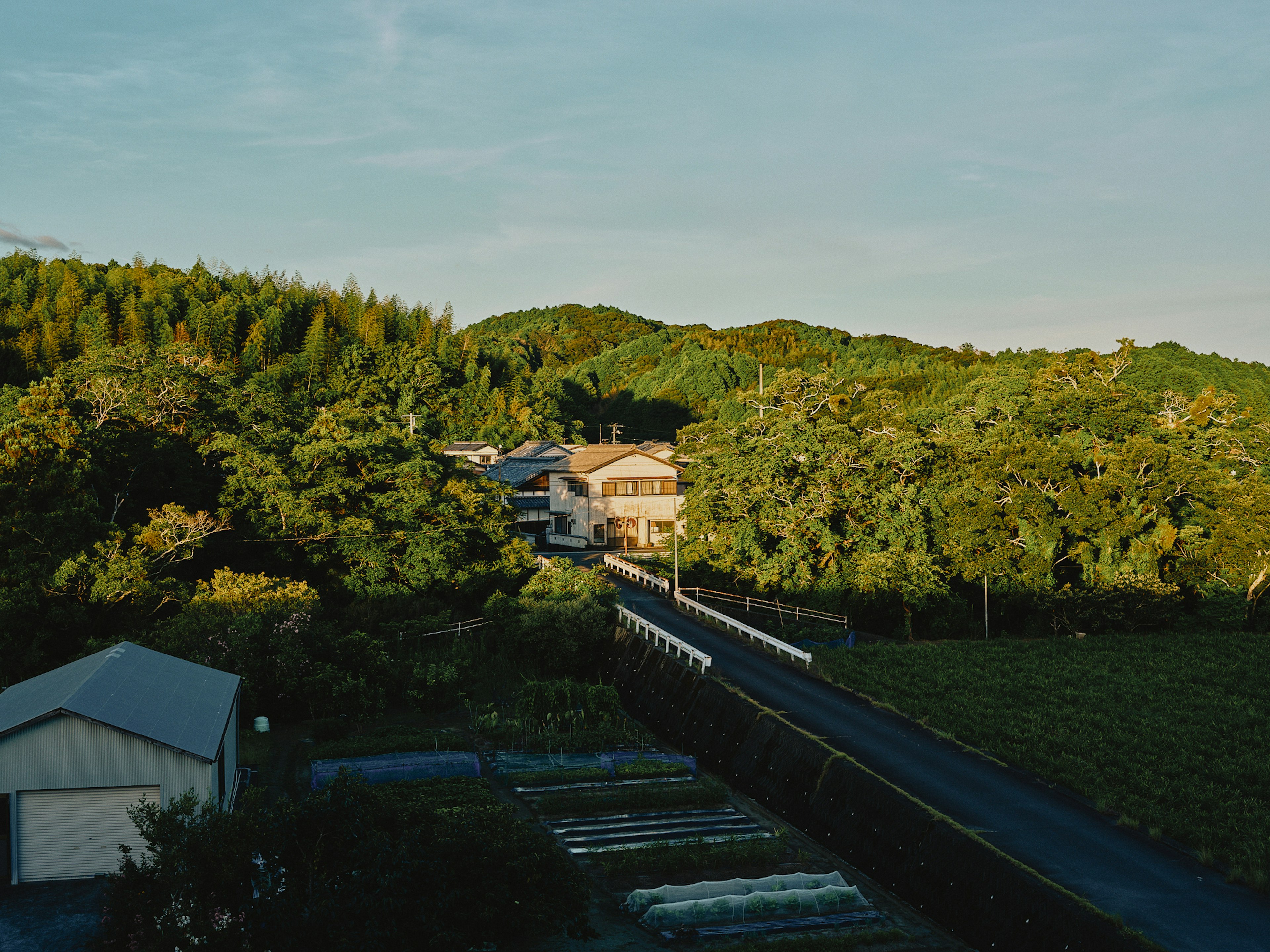 Vista escénica de una casa rodeada de vegetación y un camino