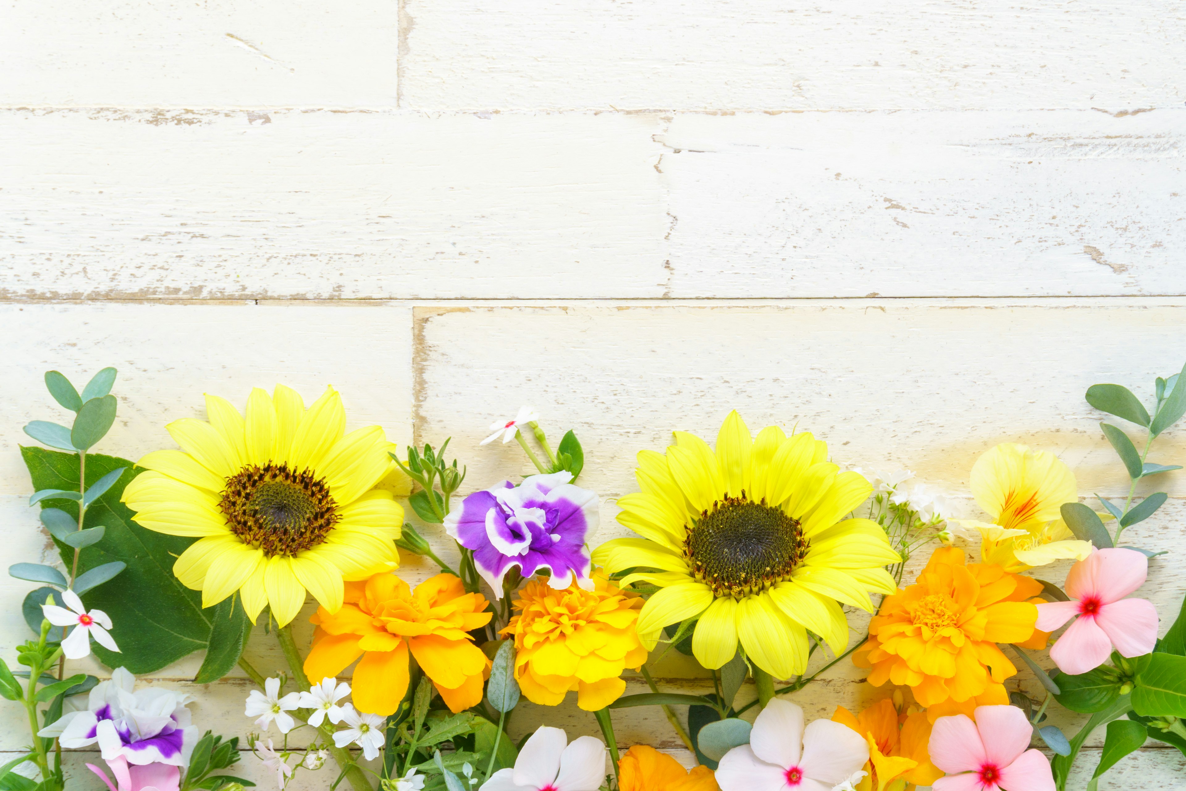 Ein schönes Arrangement aus gelben Sonnenblumen und bunten Blumen