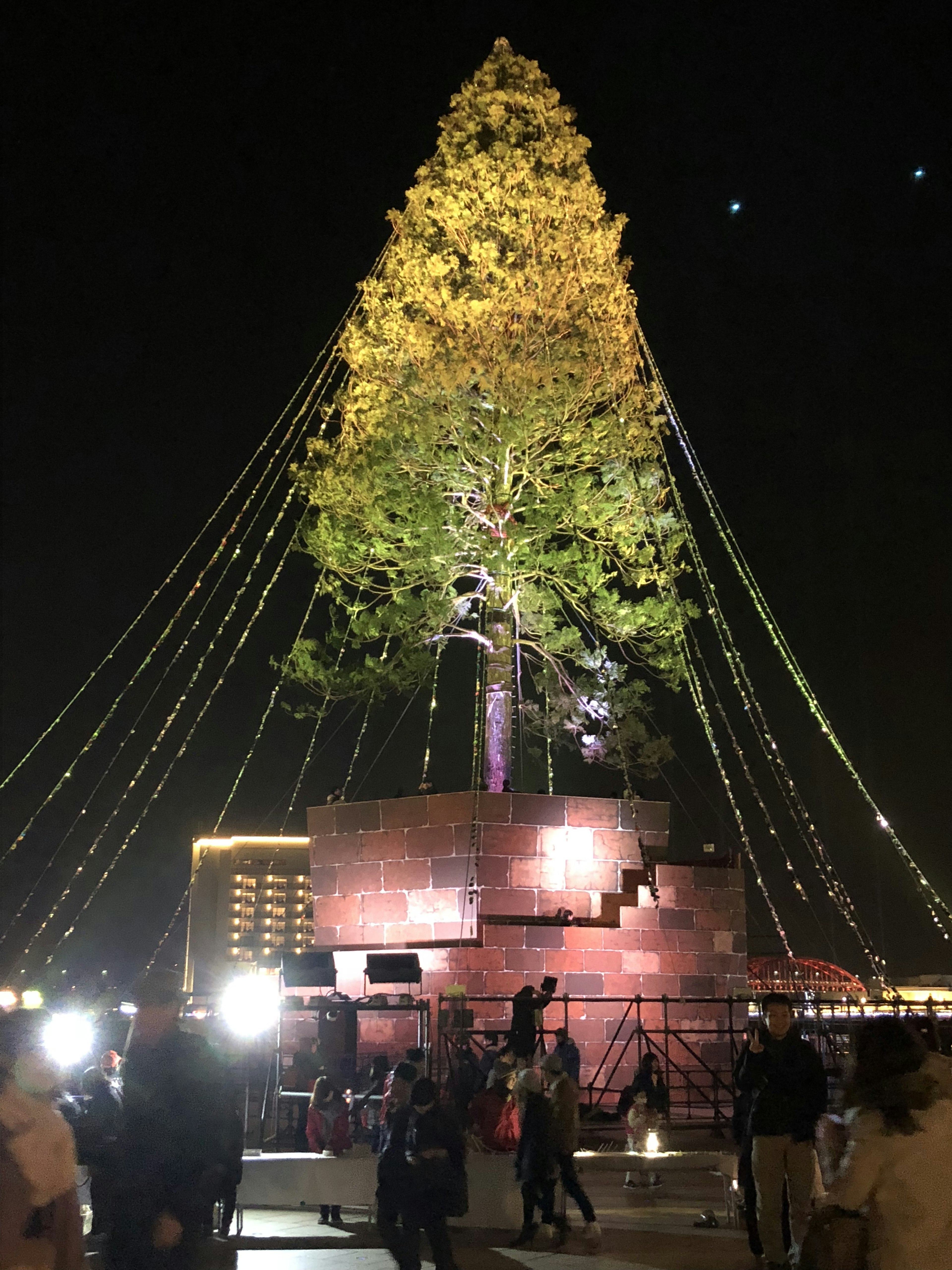 夜にライトアップされた大きなクリスマスツリーが人々の周りに立っている