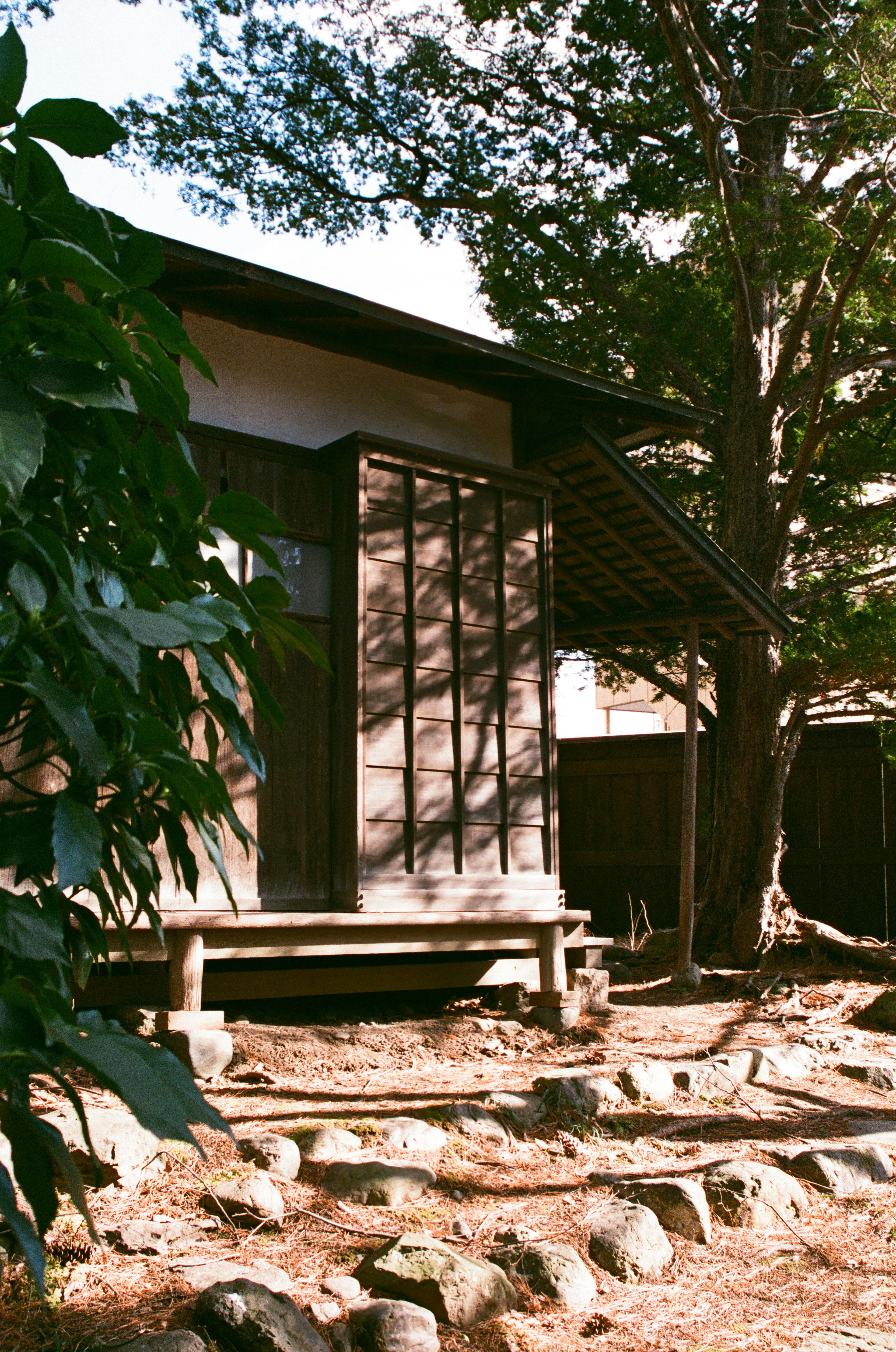 Eksterior rumah tradisional Jepang yang terbuat dari kayu dikelilingi oleh tanaman hijau dan jalan setapak batu