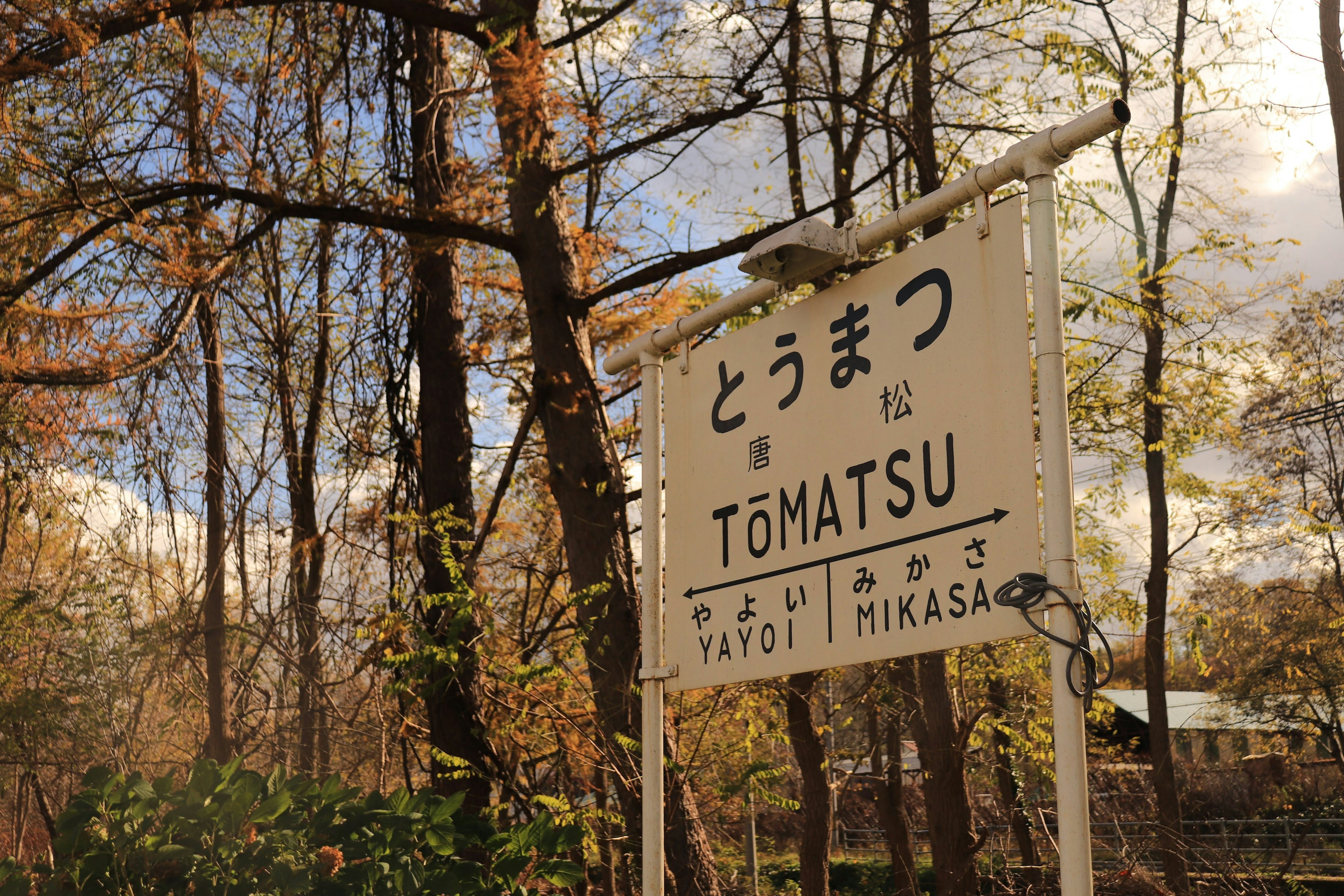 Sign for Tomatsu Station surrounded by trees