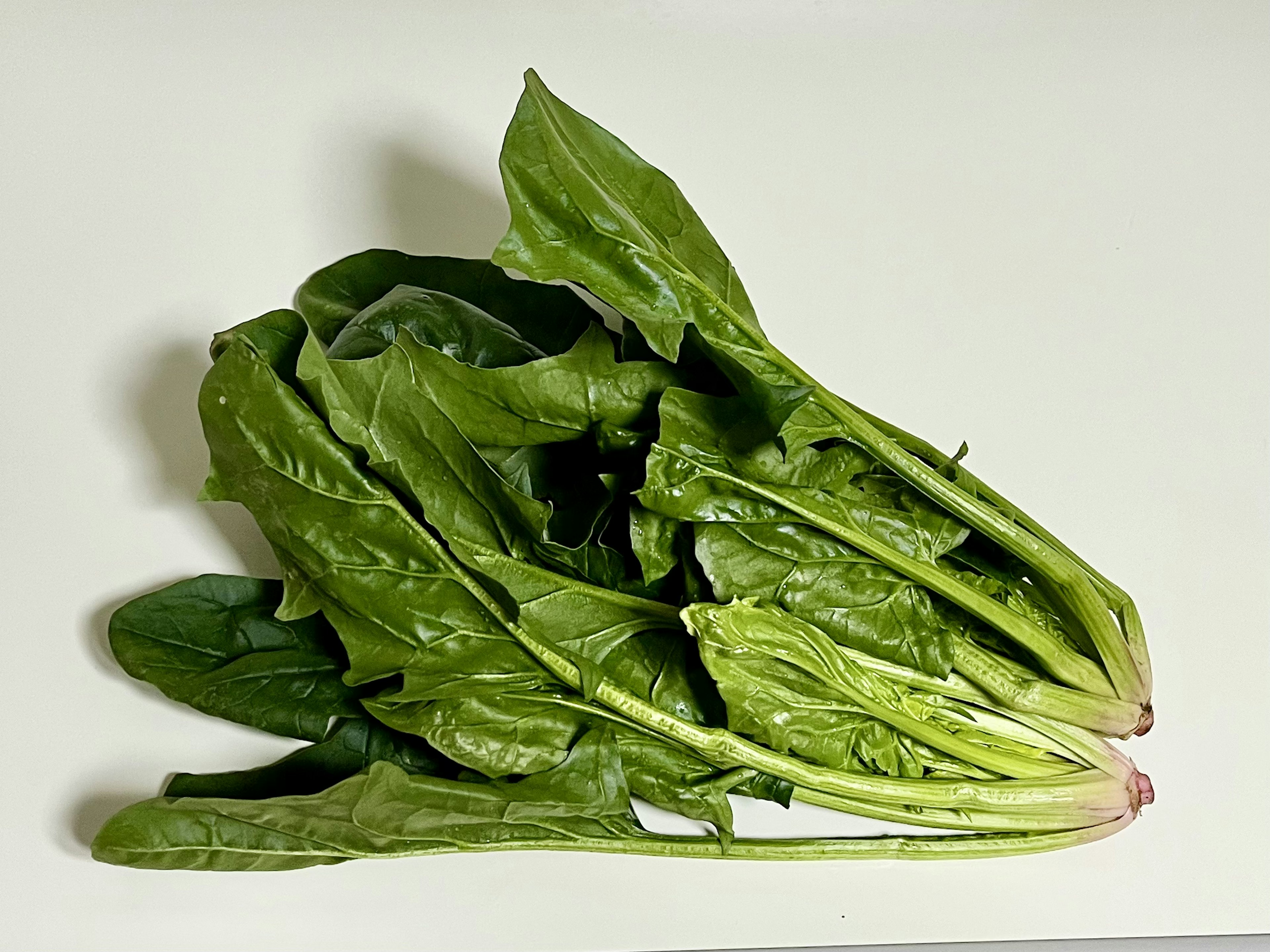 Un mazzetto di foglie di spinaci freschi su uno sfondo bianco