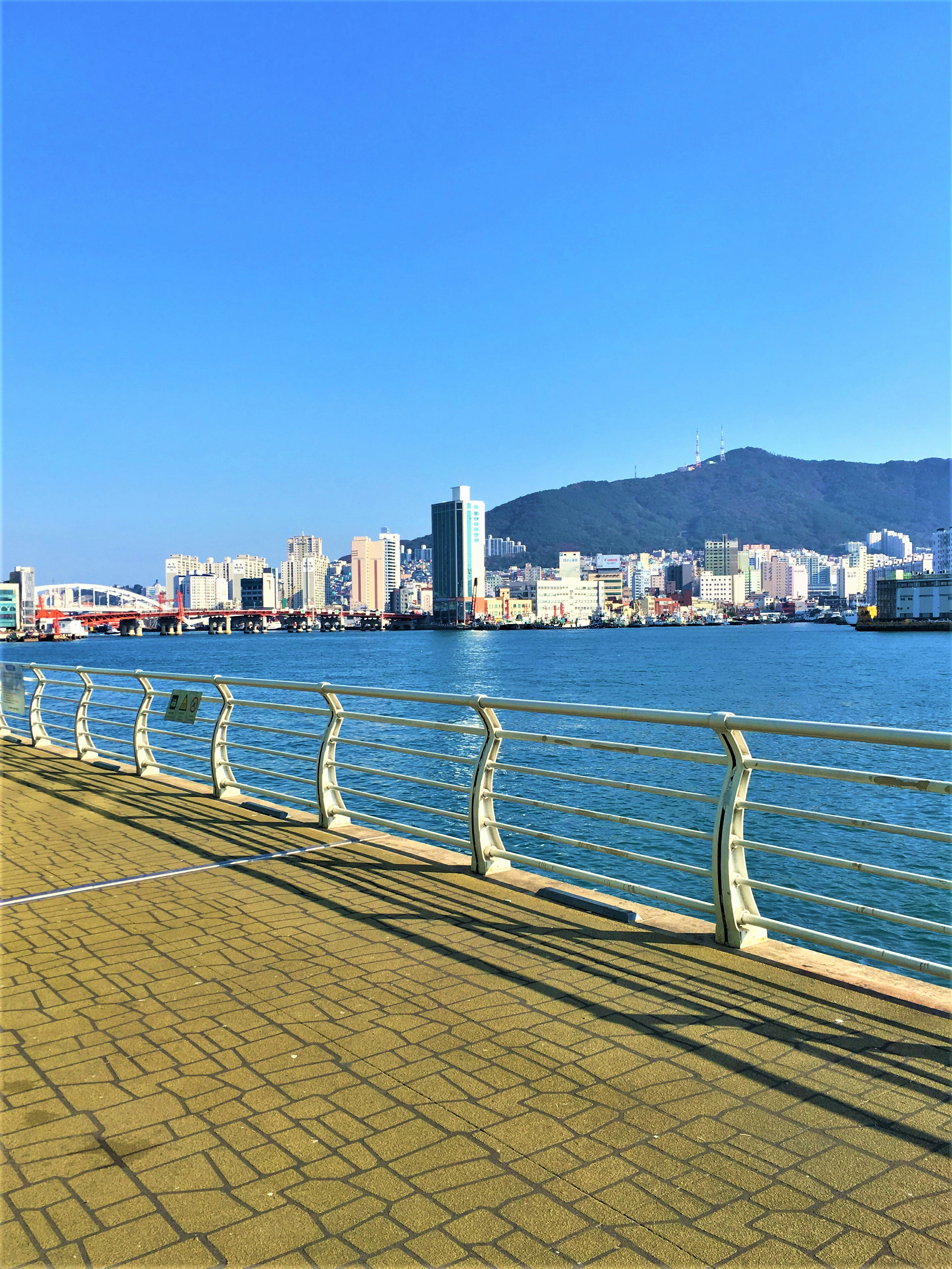 青空の下の海岸沿いの歩道と都市の風景