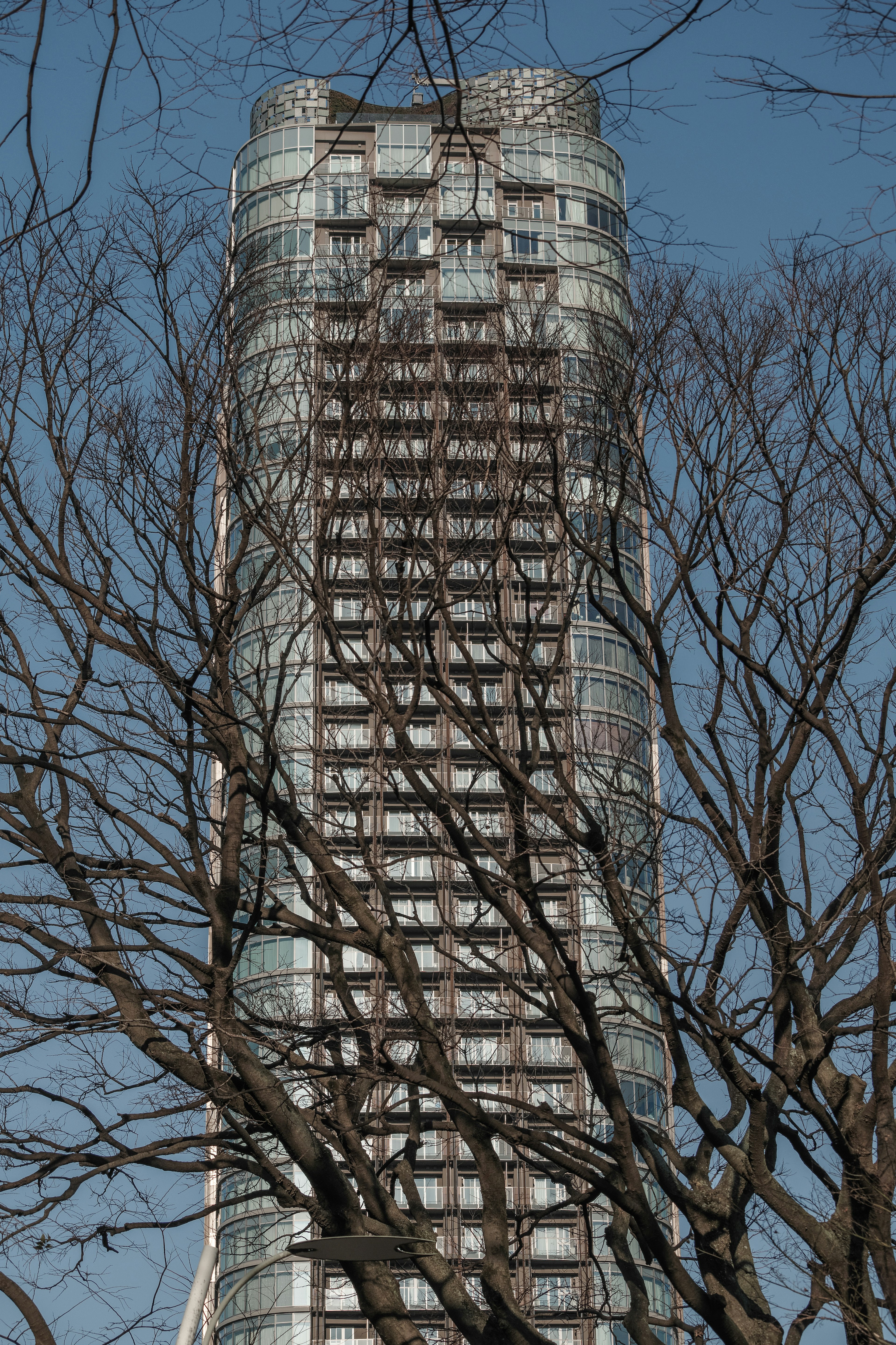 Un edificio alto rodeado de ramas de árboles bajo un cielo azul