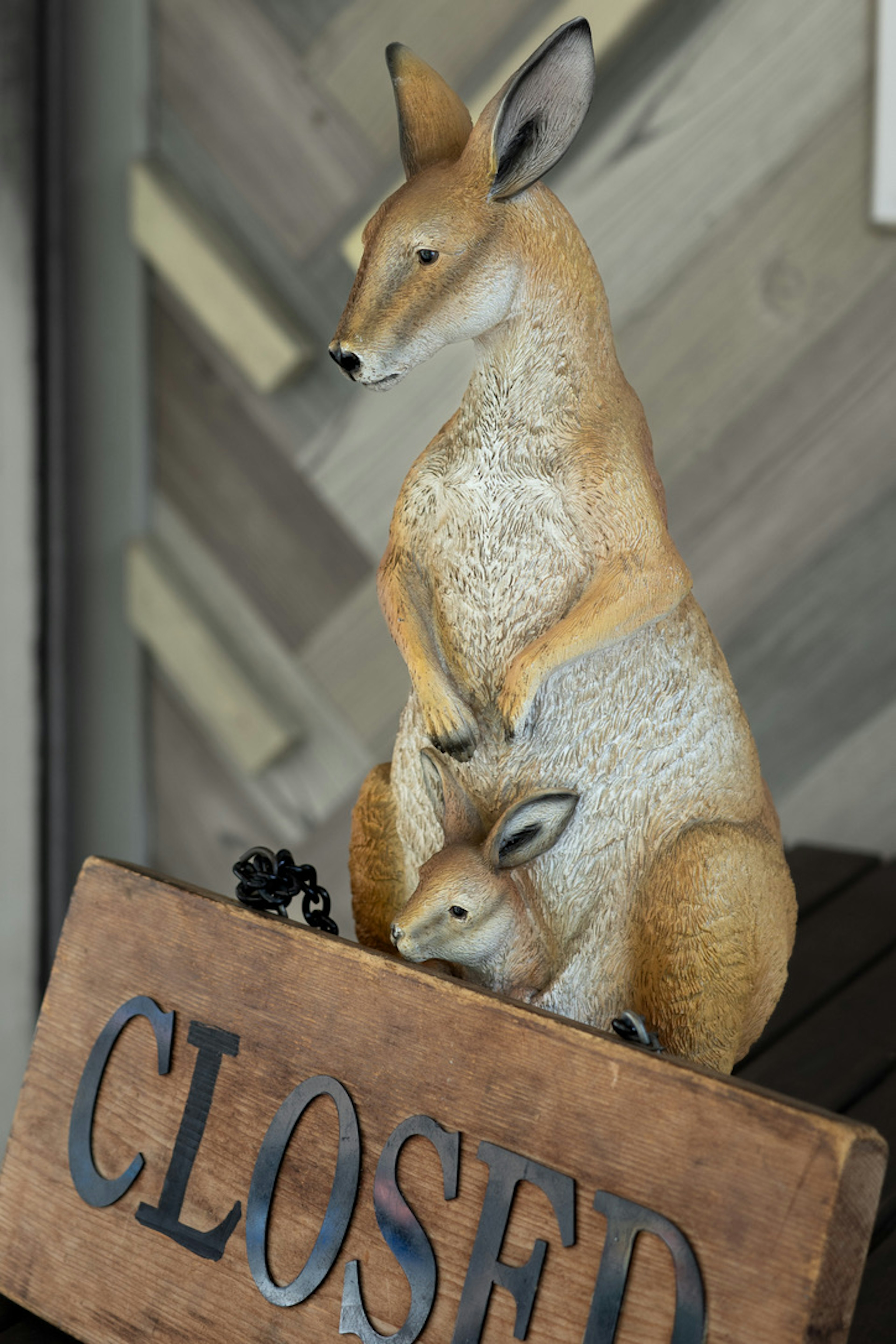 Figurina di canguro e piccolo davanti a un cartello chiuso