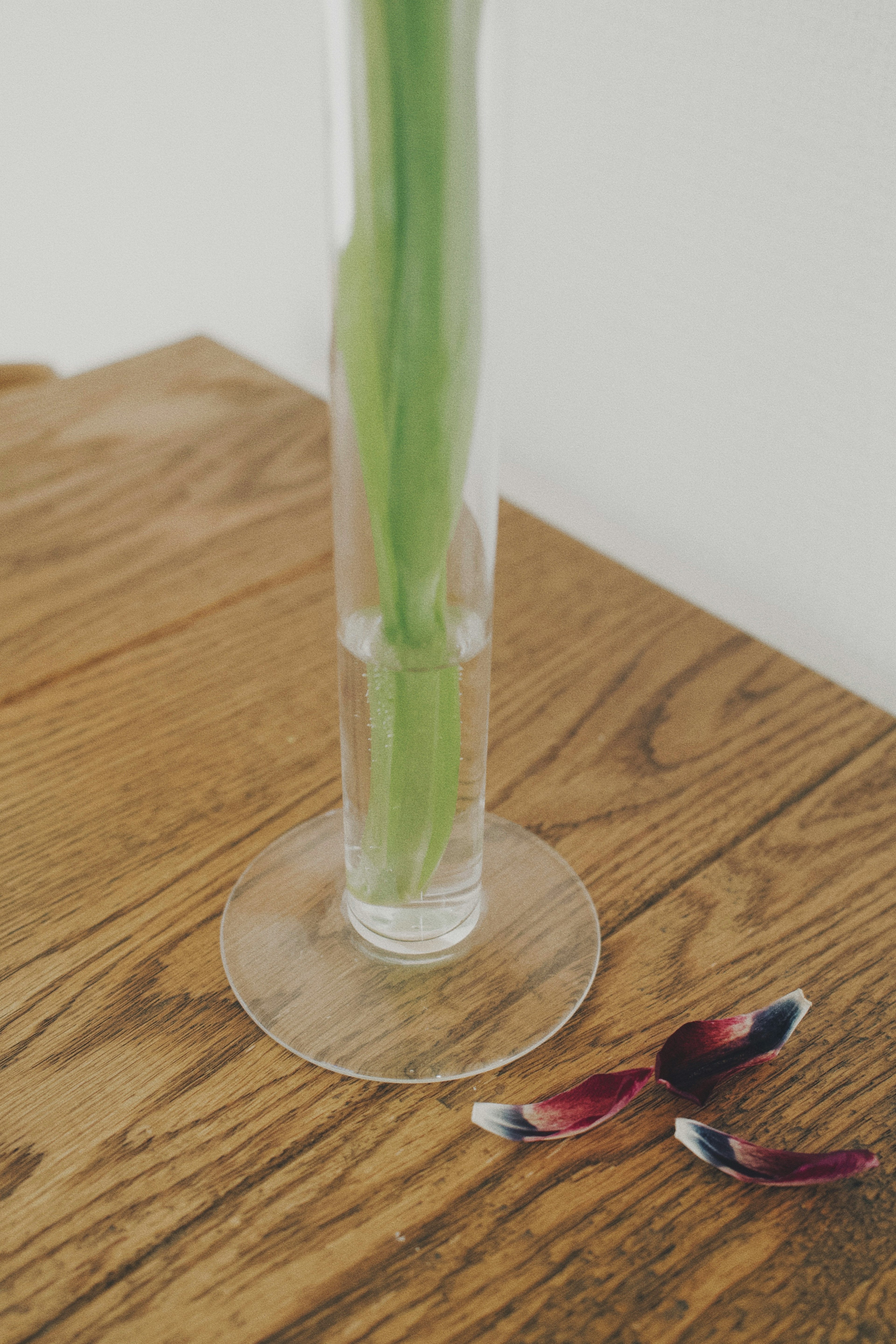 Transparent vase with green stems on wooden table with flower petals