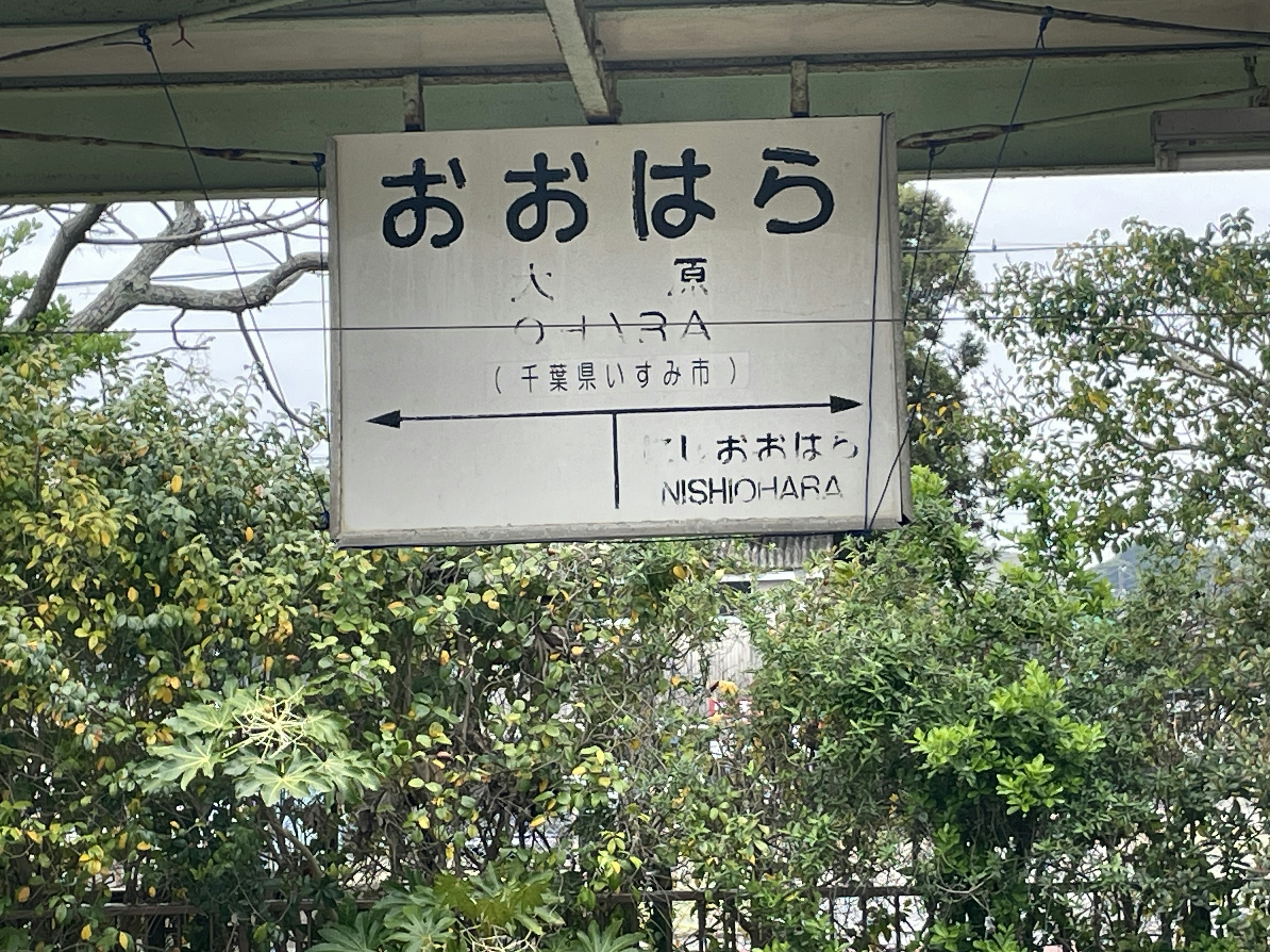 Schild an einer Station mit 'Oohara' auf Japanisch und umgebender Vegetation