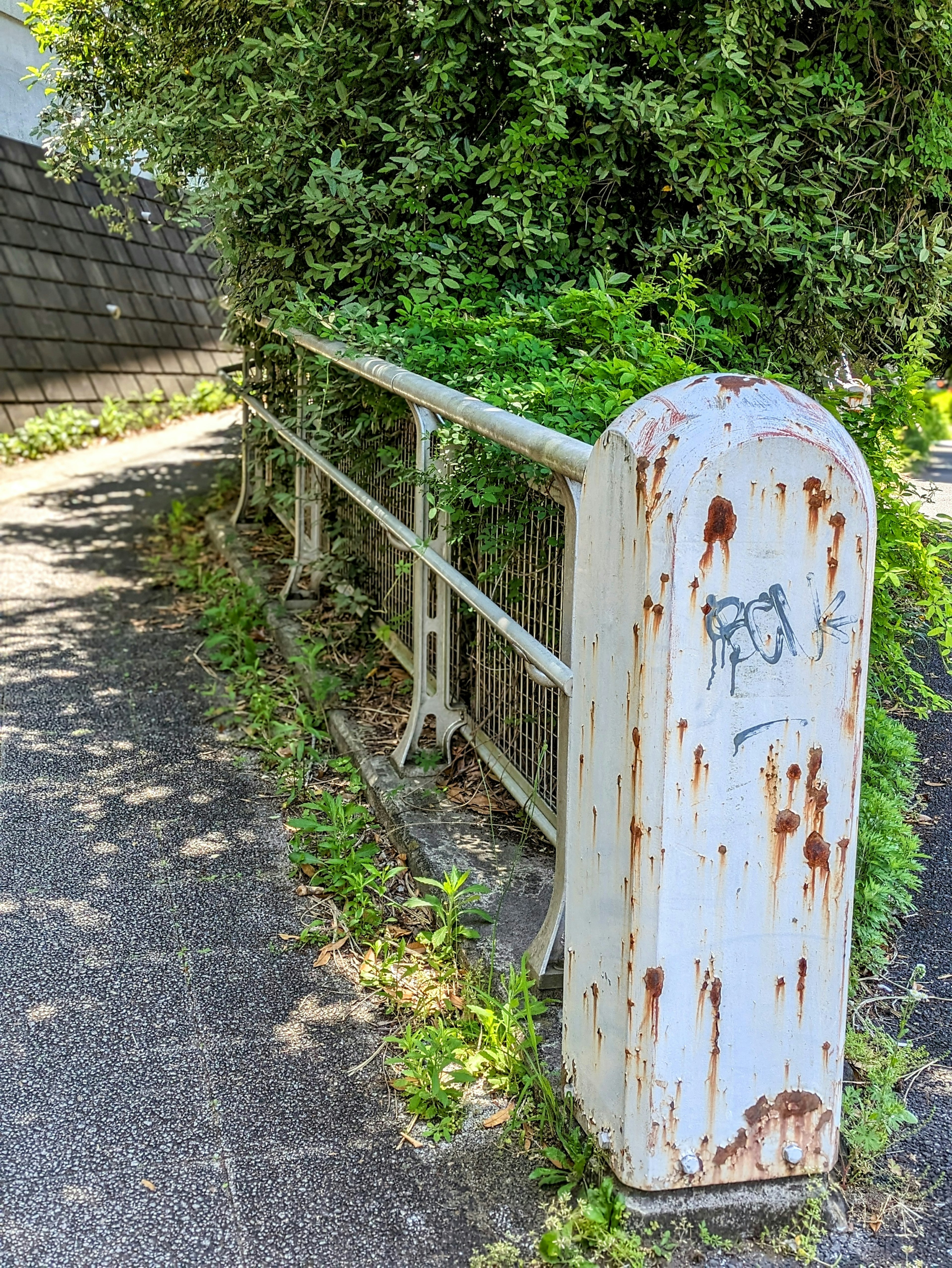 Old white metal railing surrounded by lush green plants