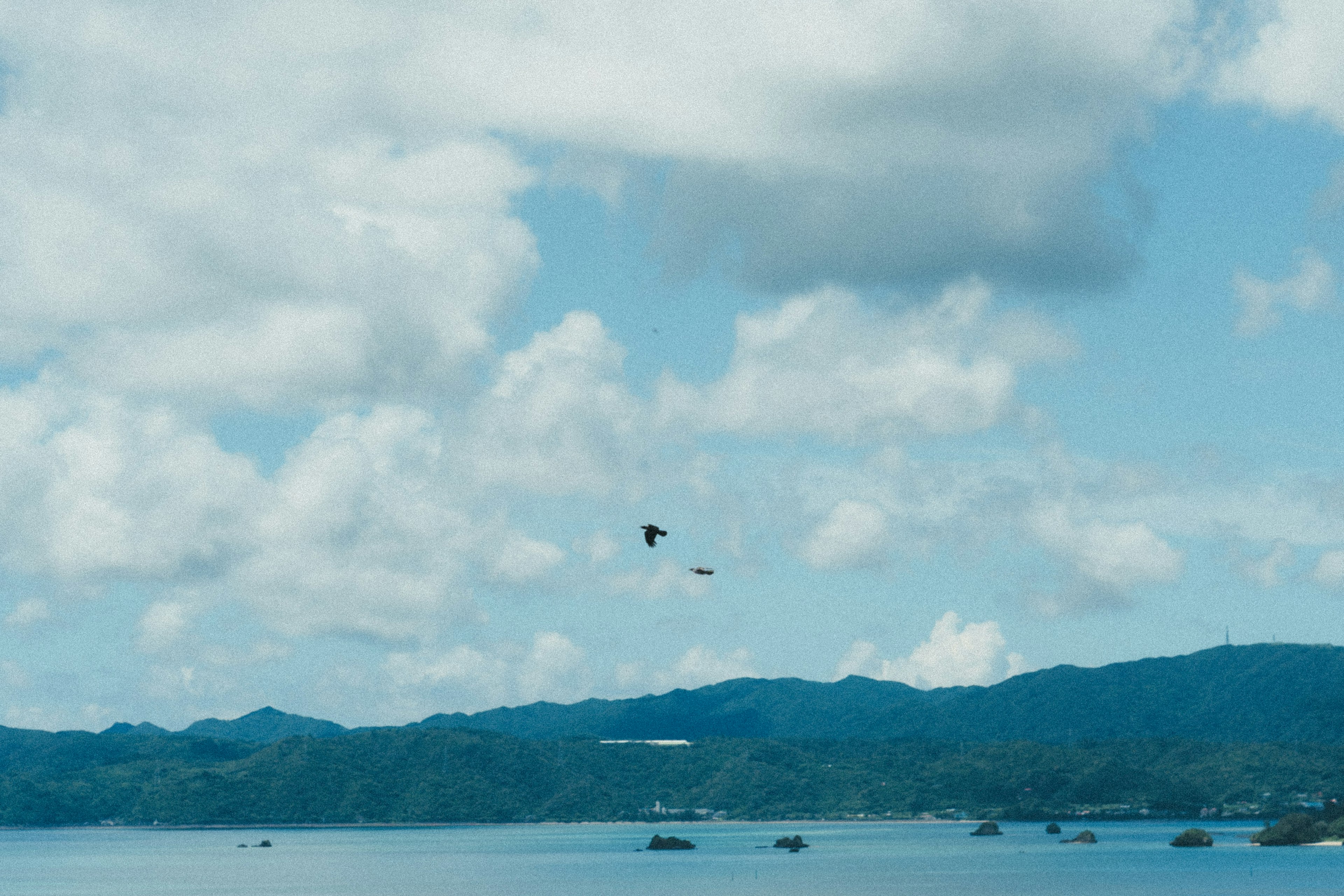 Pemandangan laut biru dan langit berbulu dengan perahu kecil dan burung terbang