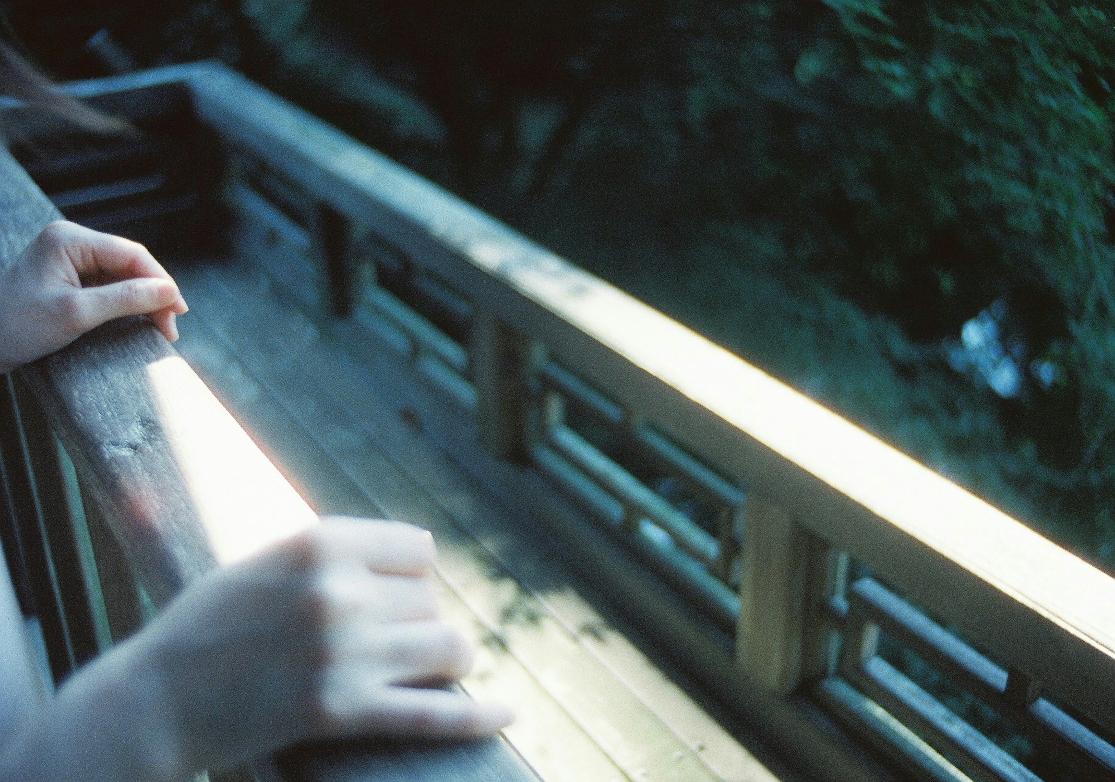 A person's hands resting on a wooden railing overlooking greenery