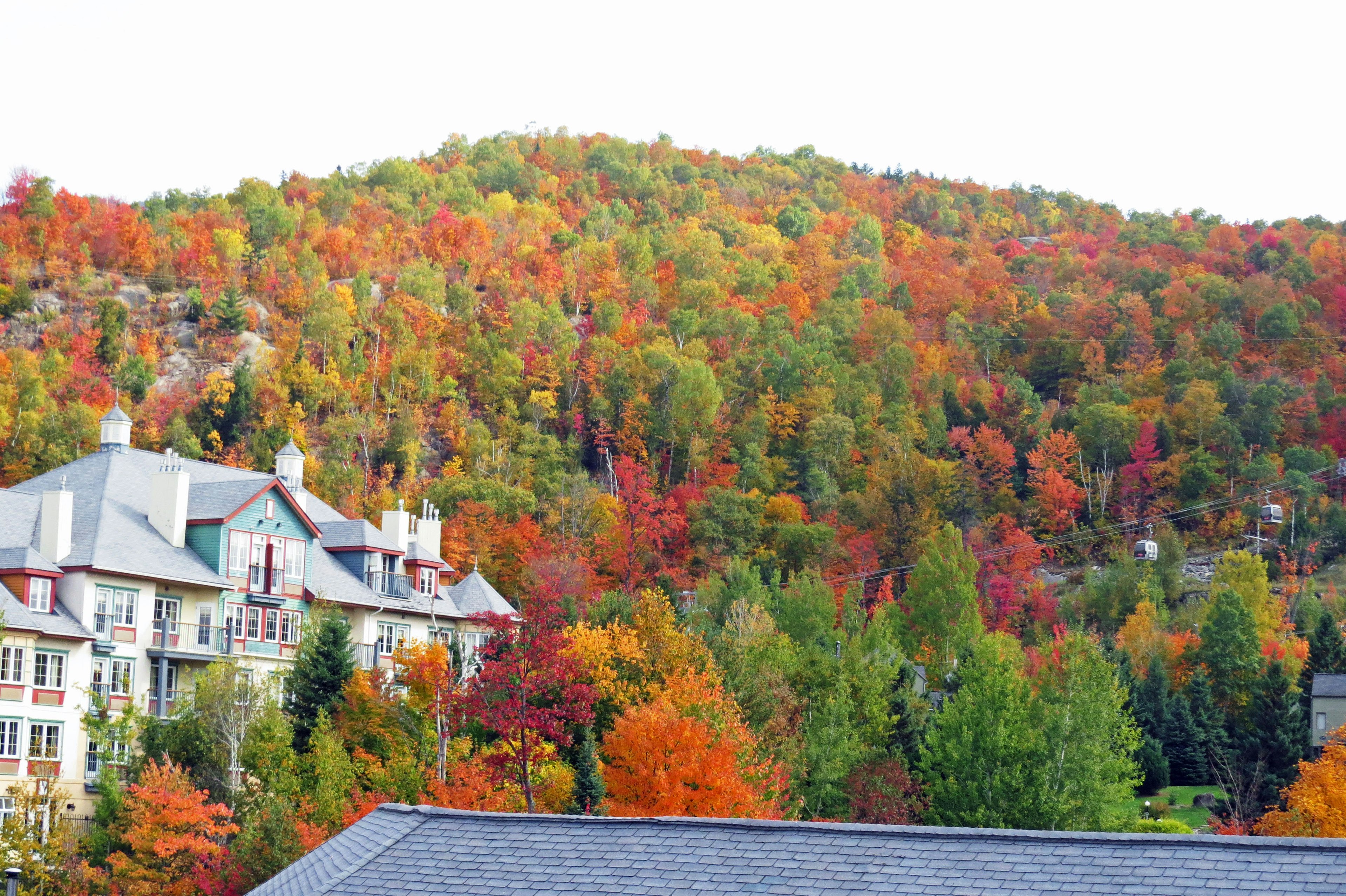 Feuillage d'automne coloré sur une colline avec un bâtiment à proximité