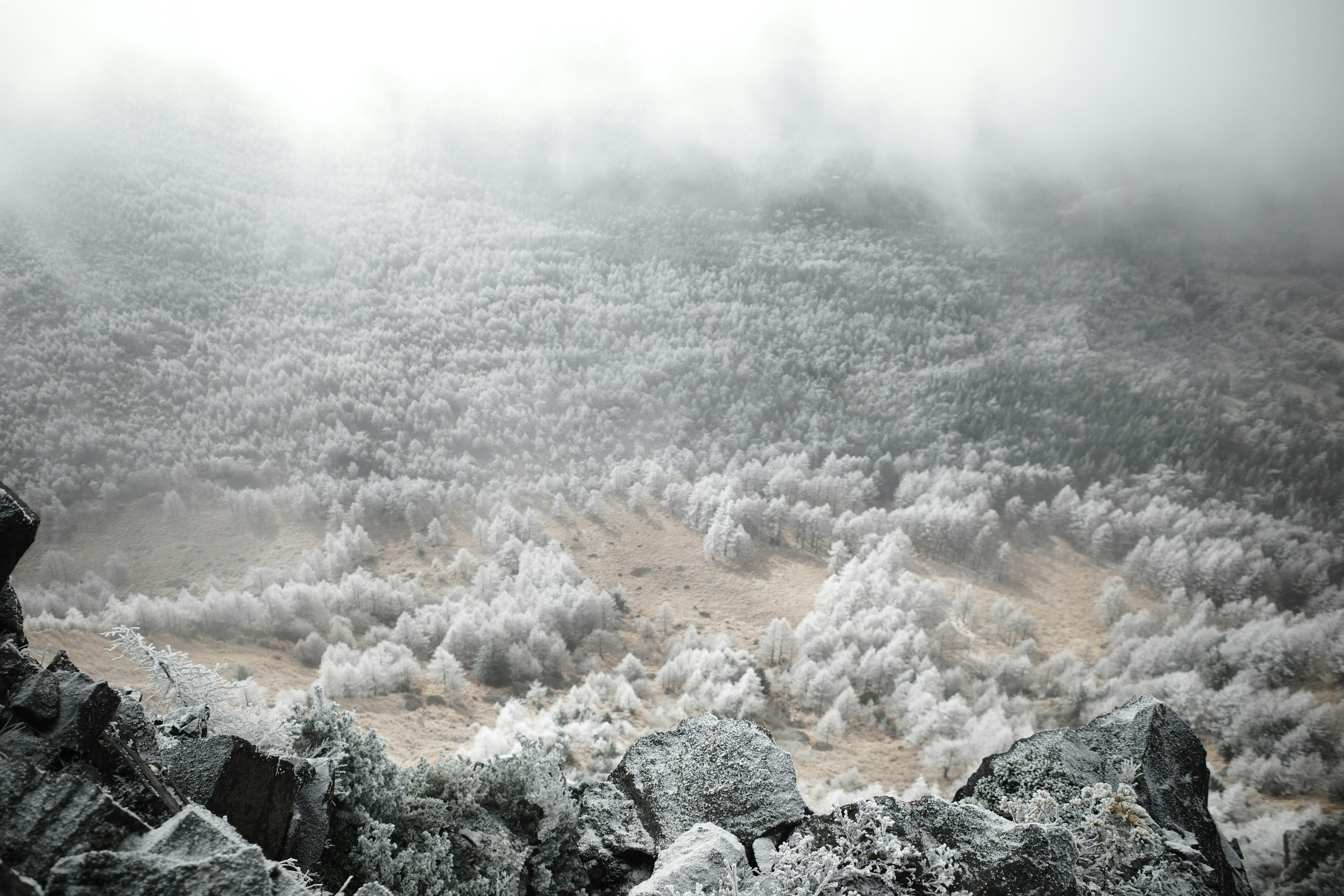 Foggy seascape with waves and rocky shoreline