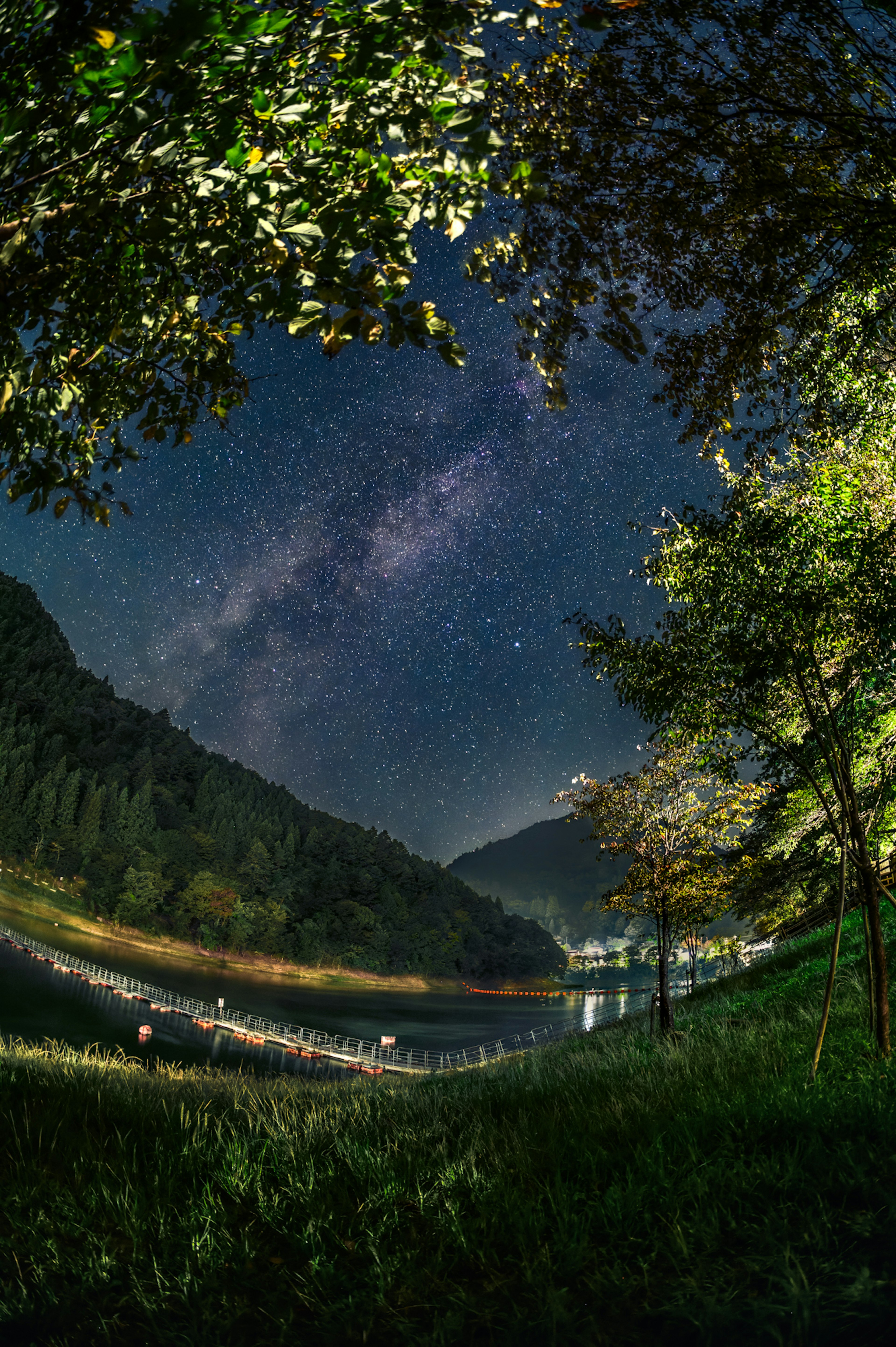 Scène nocturne avec un ciel étoilé et une rivière entourée d'arbres