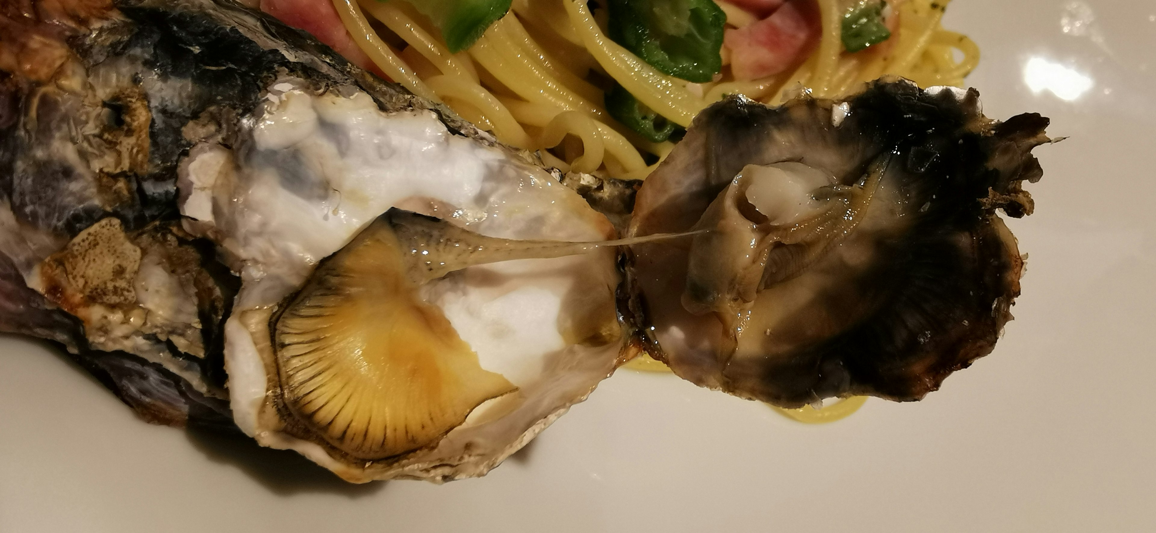 Close-up of an open oyster with a plate of pasta