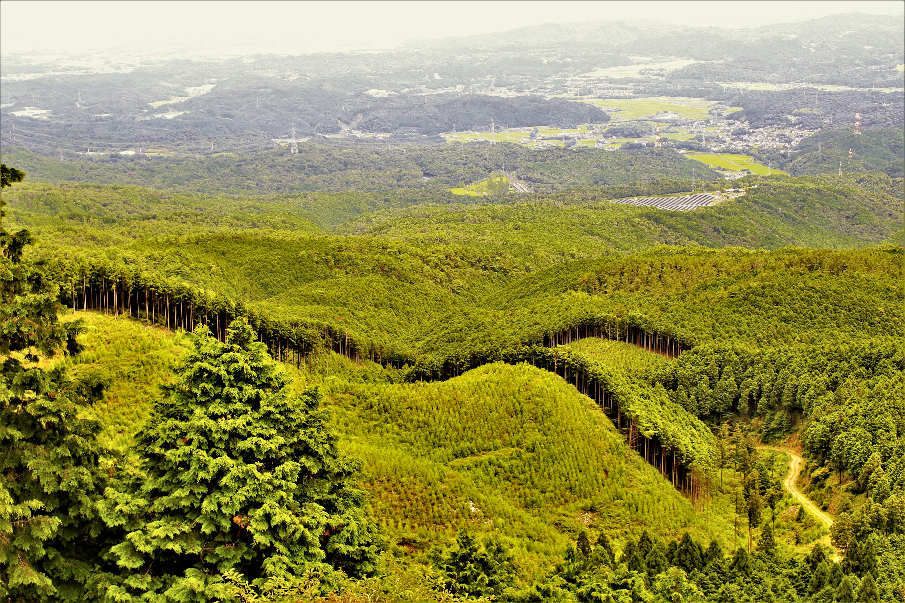 Paesaggio di montagne verdi e valli