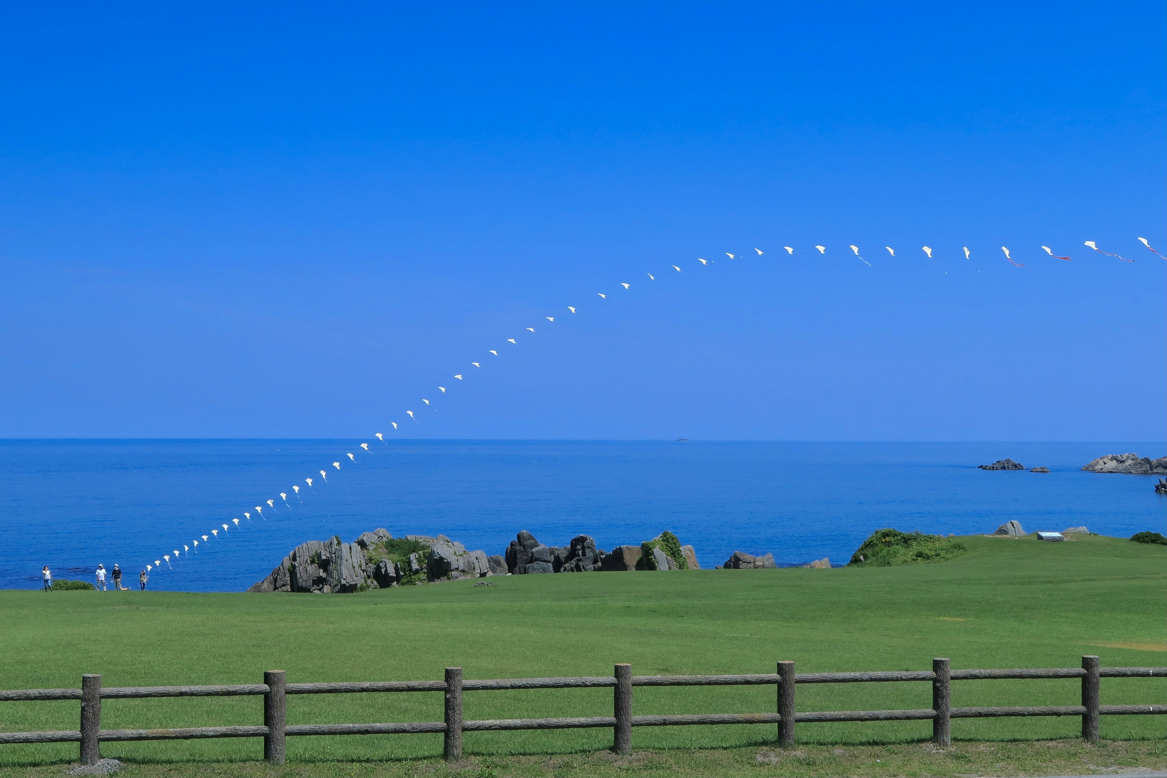 A scenic view of flying seagulls against a blue ocean and sky