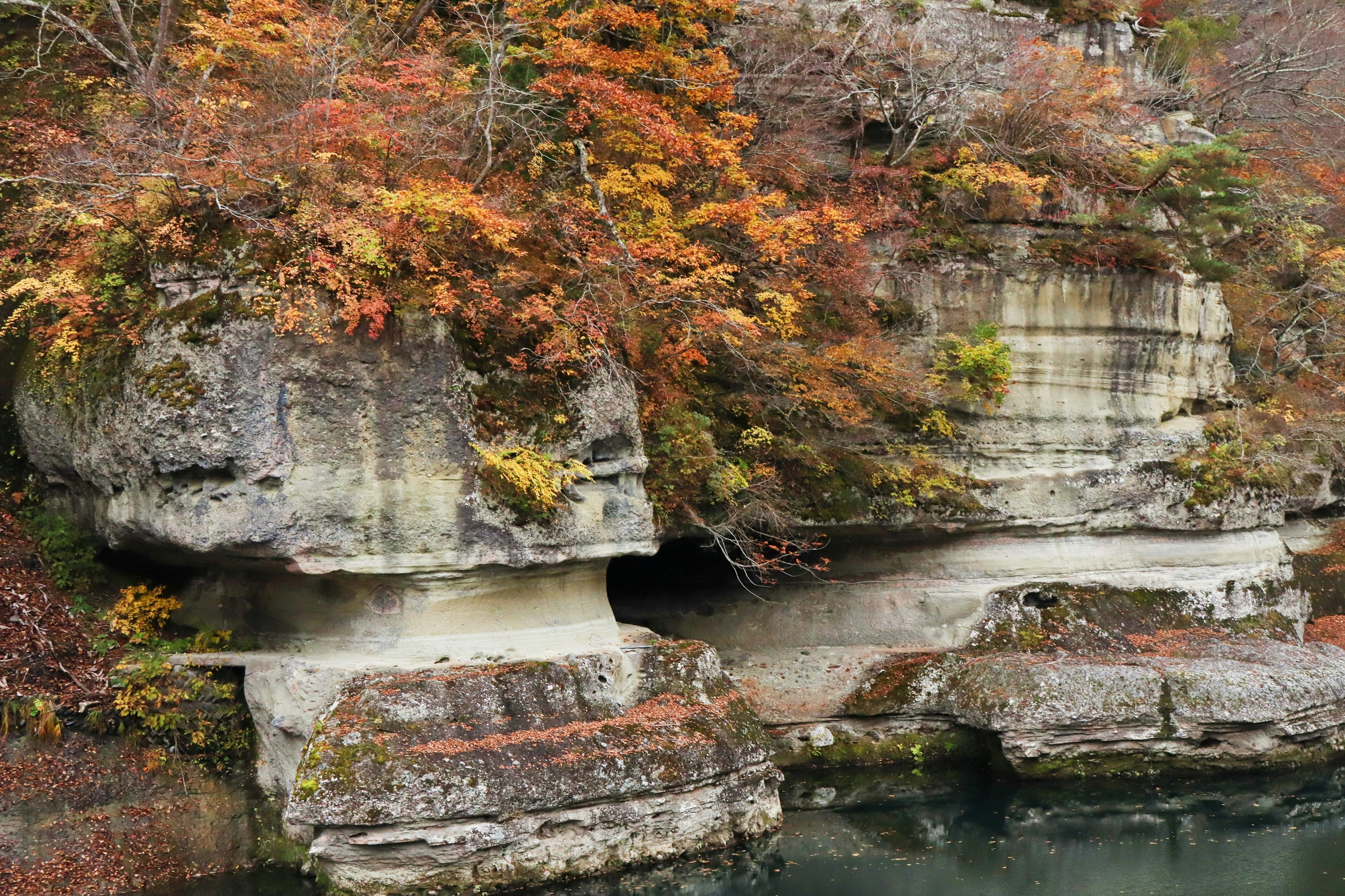 Malersicher Blick auf Herbstlaub an felsigen Klippen neben einem Fluss