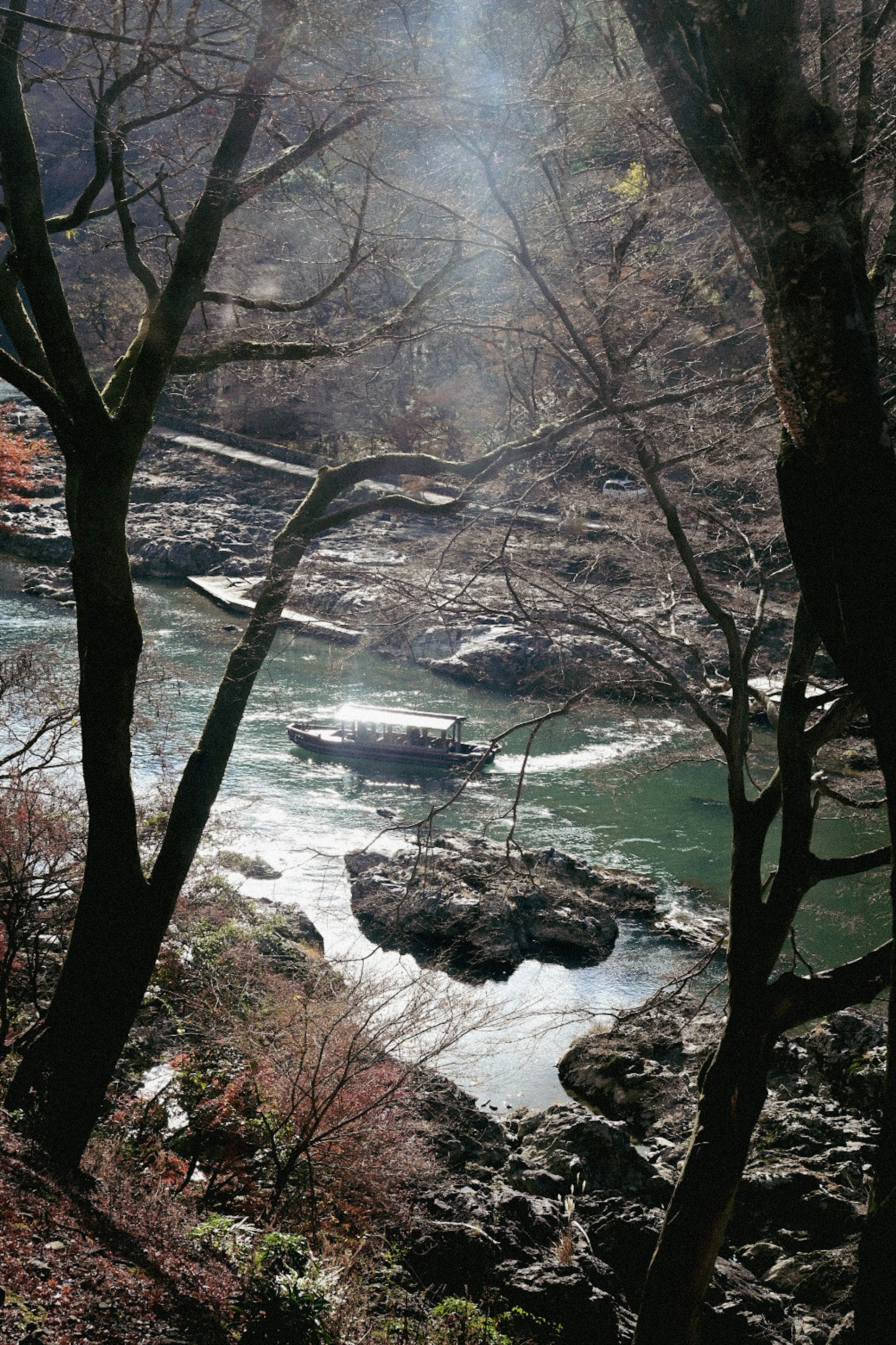 宁静的自然风光，河流和岩石环绕着树木